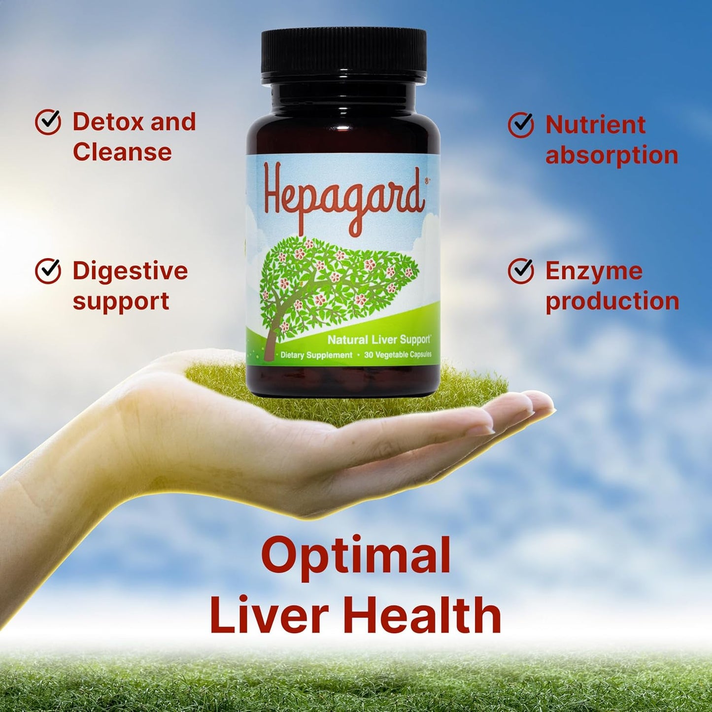 N-Acetyl Cysteine Liver Support Capsules - Natural Non-GMO Supplement with Hepagard for Gluten-Free Diet