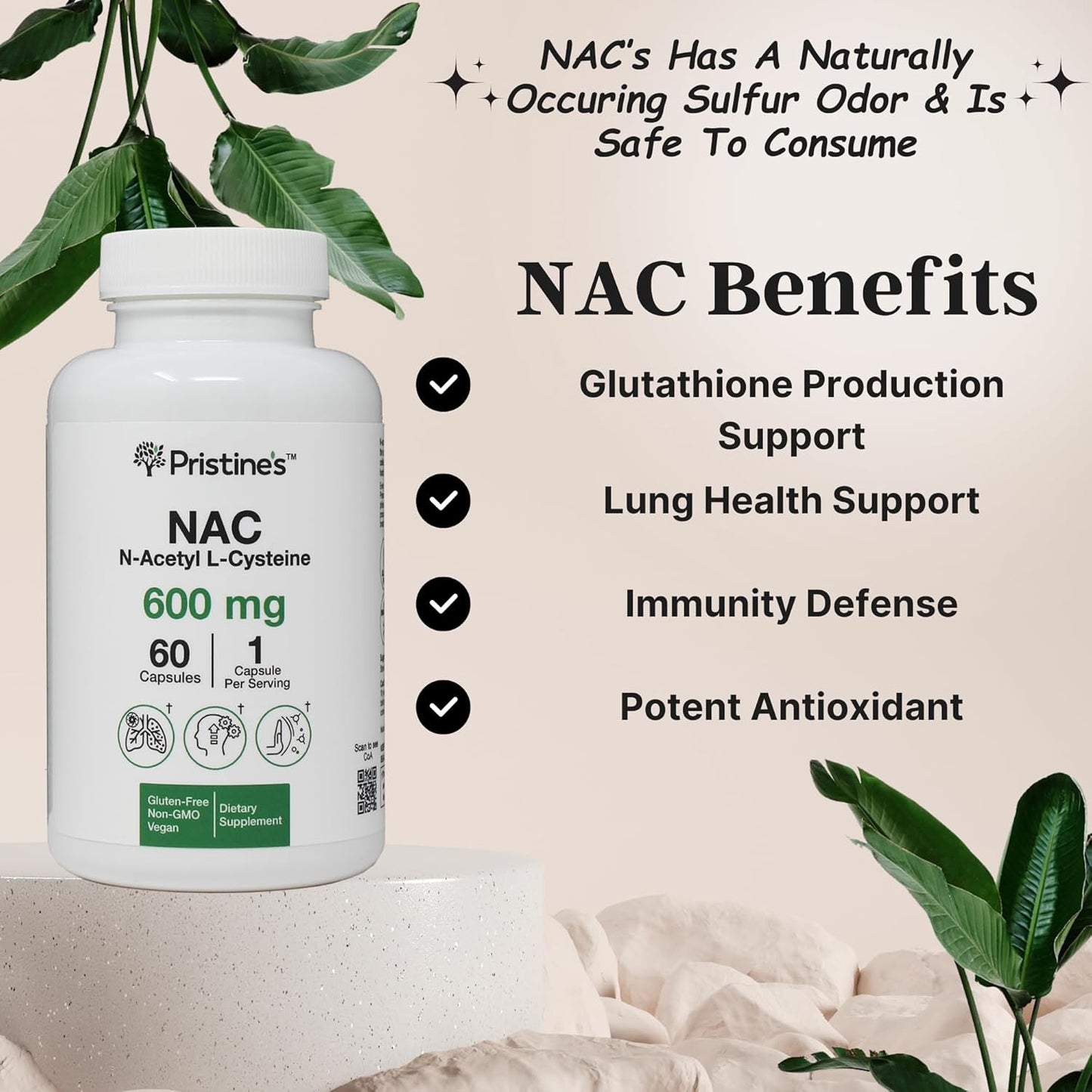 NAC 600mg Immunity Support Supplement (2 Pack) - Potent Antioxidant for Lung & Liver - Mood Support - Vegan, Gluten Free, Non GMO - 120-Day Supply