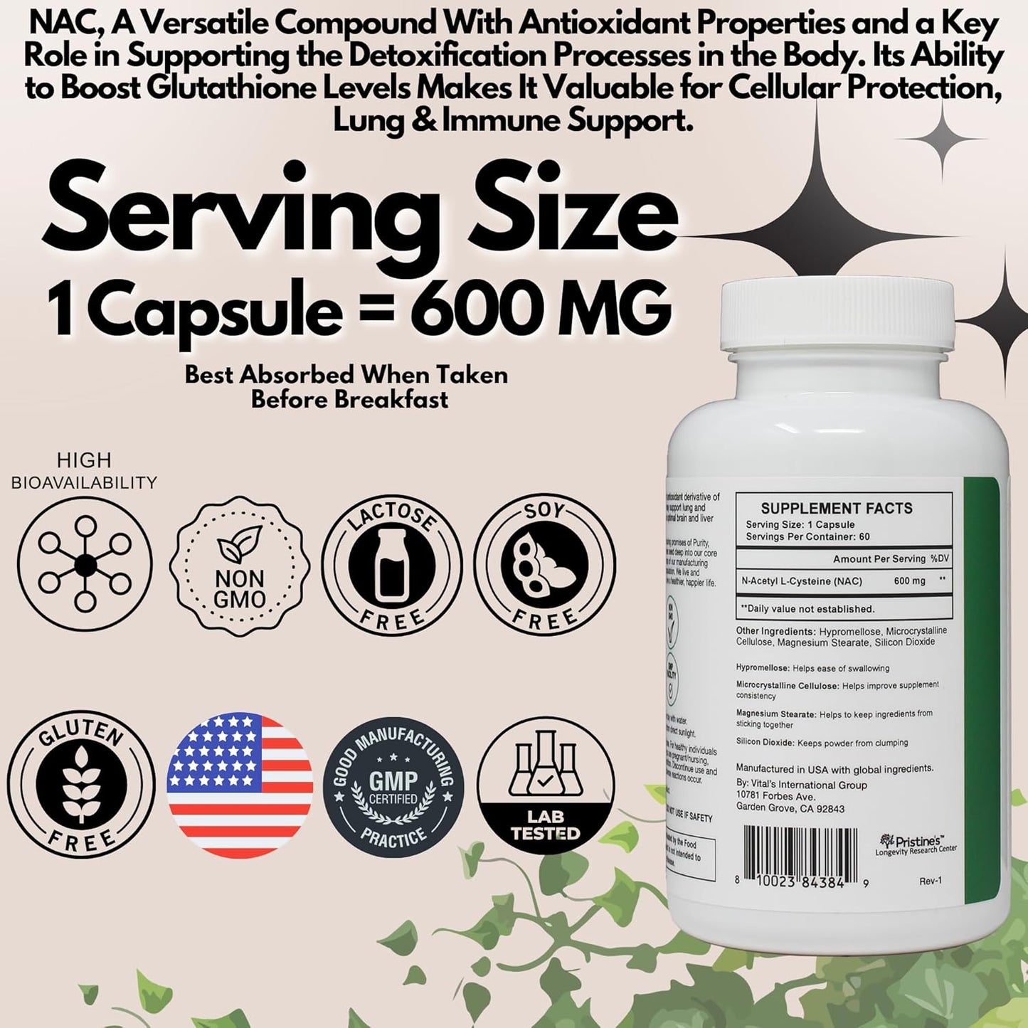 NAC 600mg Immunity Support Supplement (2 Pack) - Potent Antioxidant for Lung & Liver - Mood Support - Vegan, Gluten Free, Non GMO - 120-Day Supply