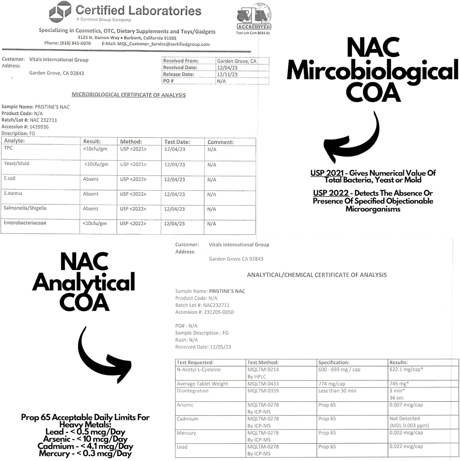 NAC 600mg Immunity Support Supplement (2 Pack) - Potent Antioxidant for Lung & Liver - Mood Support - Vegan, Gluten Free, Non GMO - 120-Day Supply