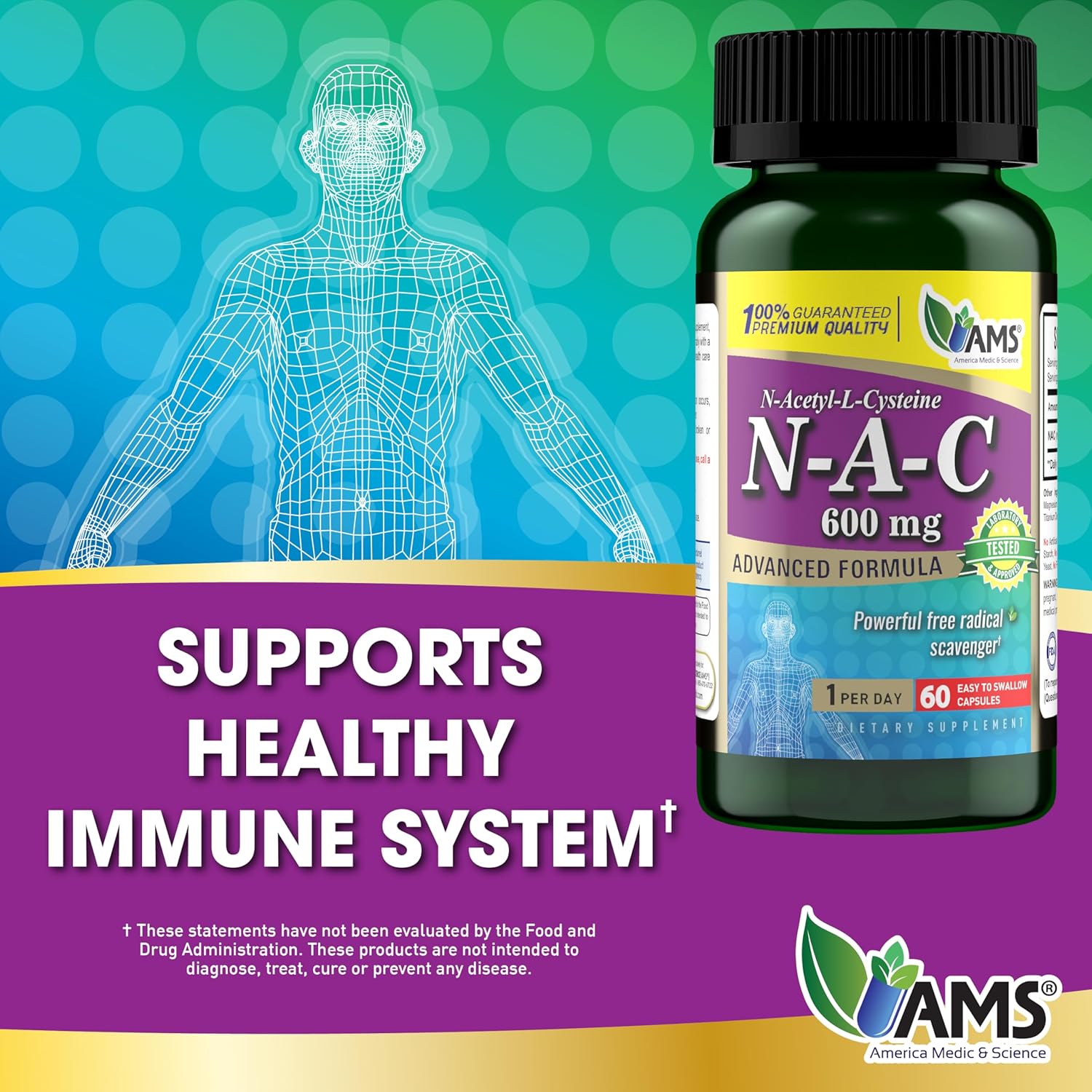 NAC 600mg Supplement for Lung, Immune, & Liver Health - Antioxidant Support - 60 Capsules