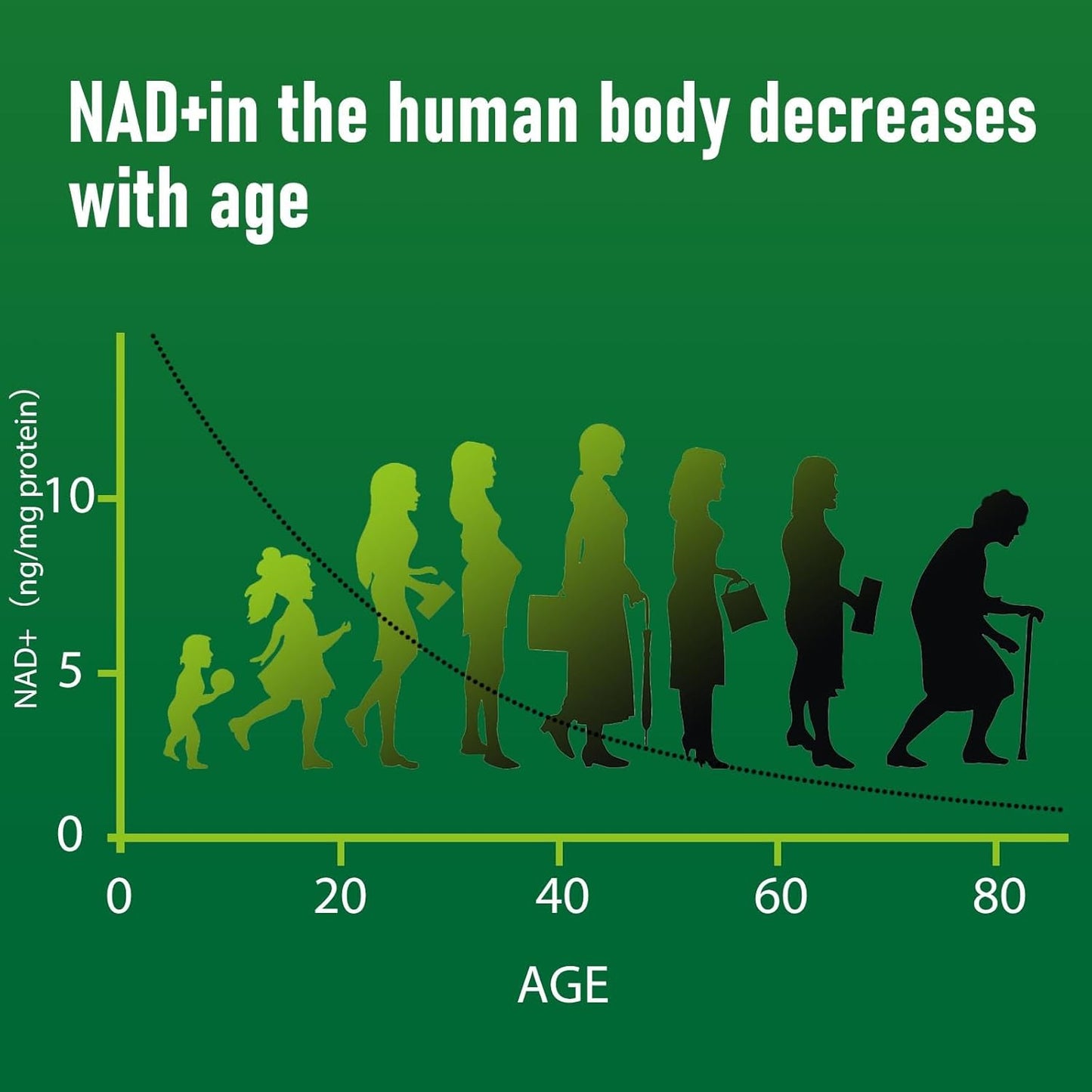 NAD+ Booster with Resveratrol for Healthy Aging and Energy - 30 Servings