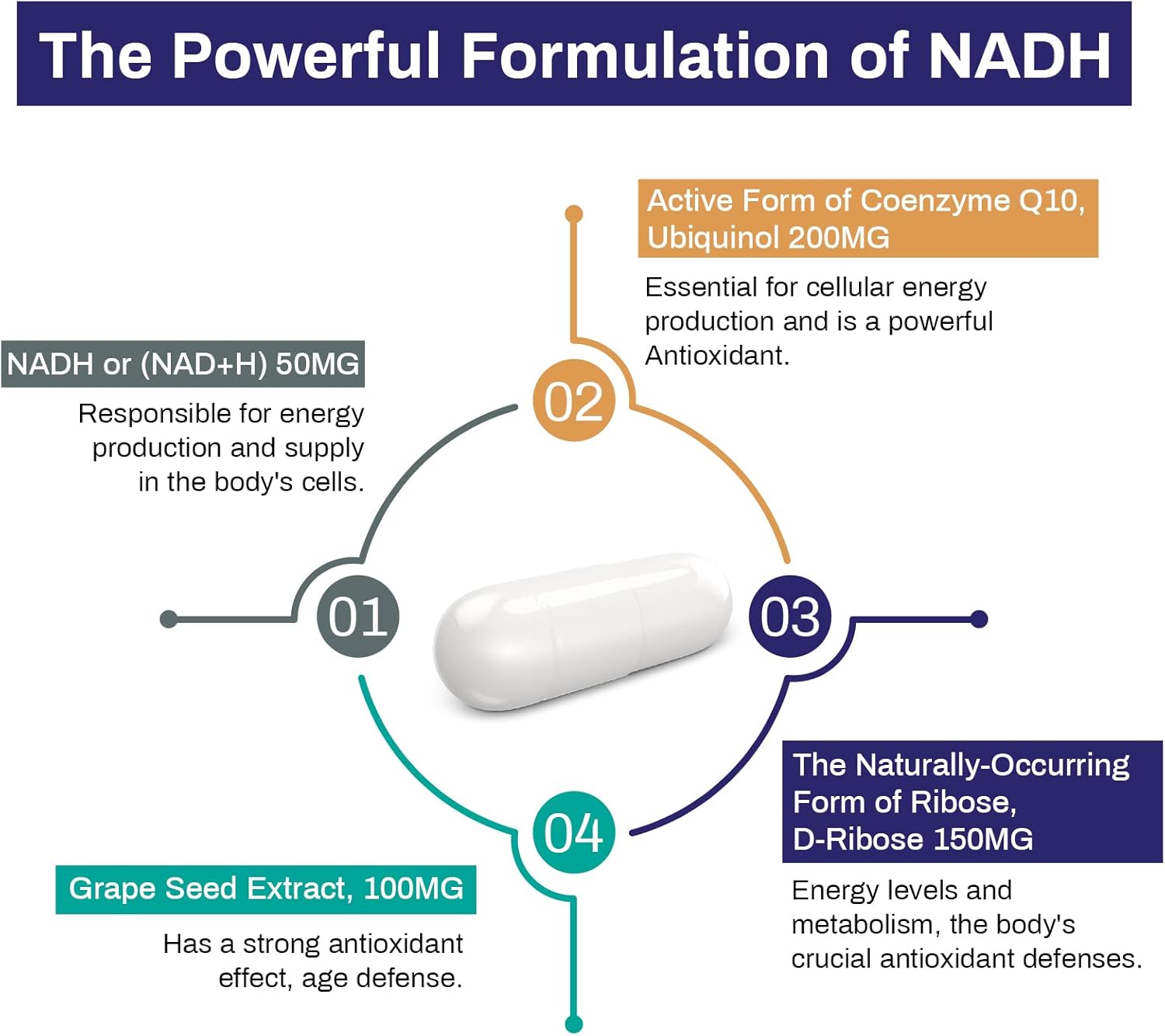 NADH CoQ10 D-Ribose Supplement 60 Capsules for Immune System, Energy, Focus - Boost NAD+ Levels