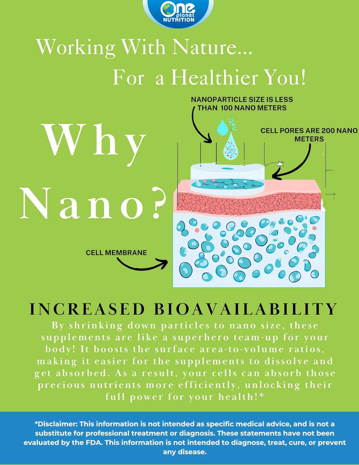 Nano Andrographis 500mg Veggie Capsules - 120 Servings - Supports Wellness - Non-GMO, Vegan, Gluten-Free