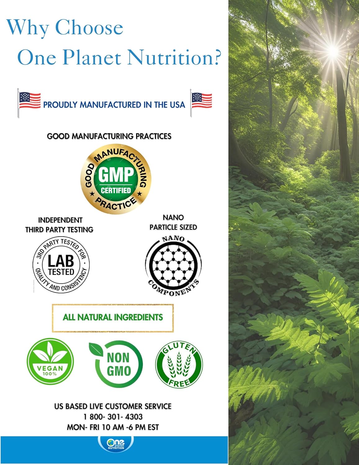 Nano Andrographis 500mg Veggie Capsules - 120 Servings - Supports Wellness - Non-GMO, Vegan, Gluten-Free