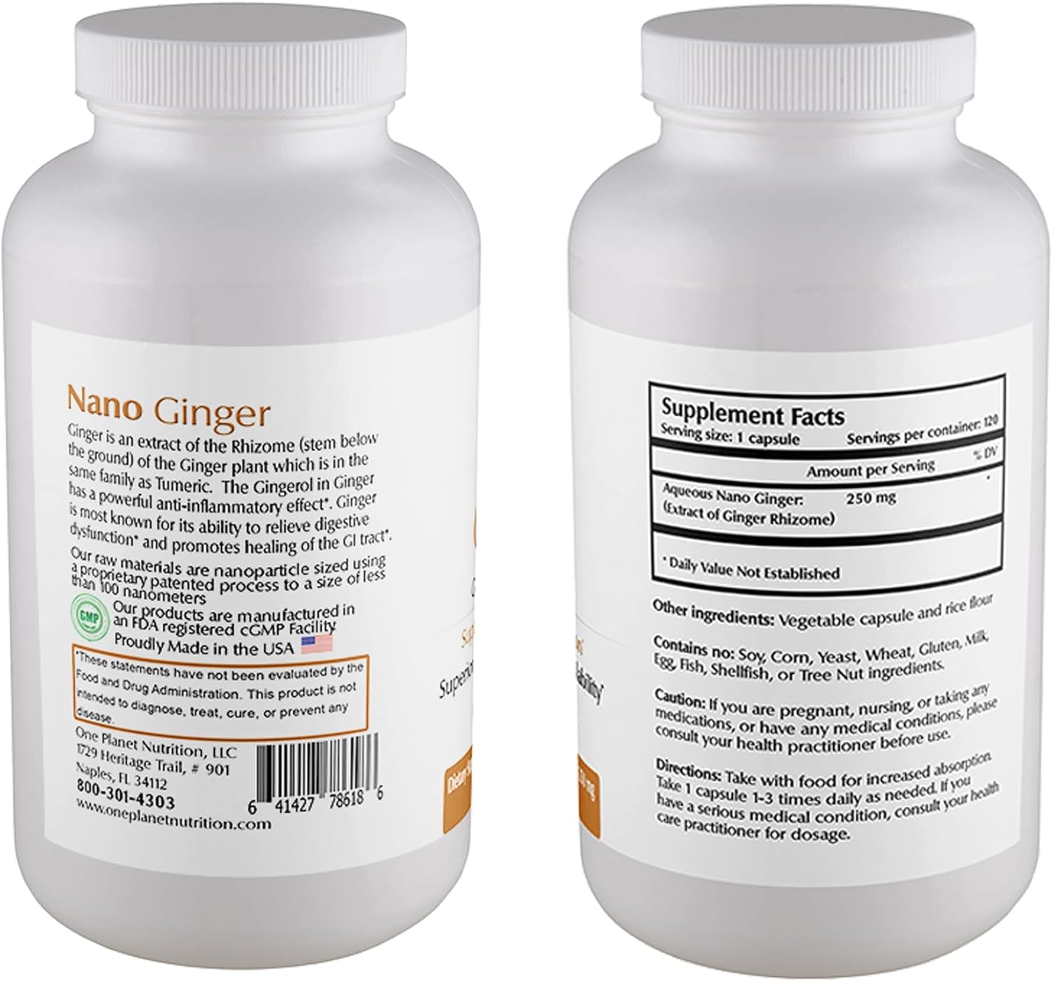 Nano Ginger Root Extract Capsules - 250mg (120 Servings) for Digestive Health - Non-GMO, Vegan, Gluten Free