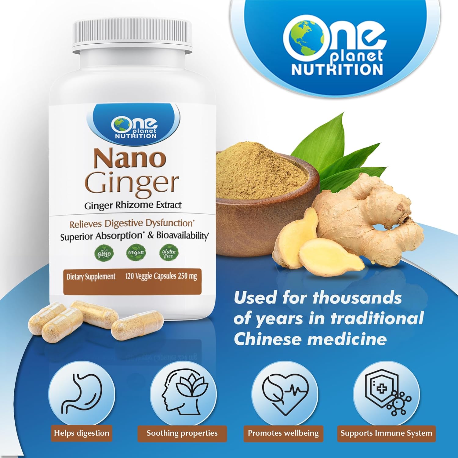 Nano Ginger Root Extract Capsules - 250mg (120 Servings) for Digestive Health - Non-GMO, Vegan, Gluten Free