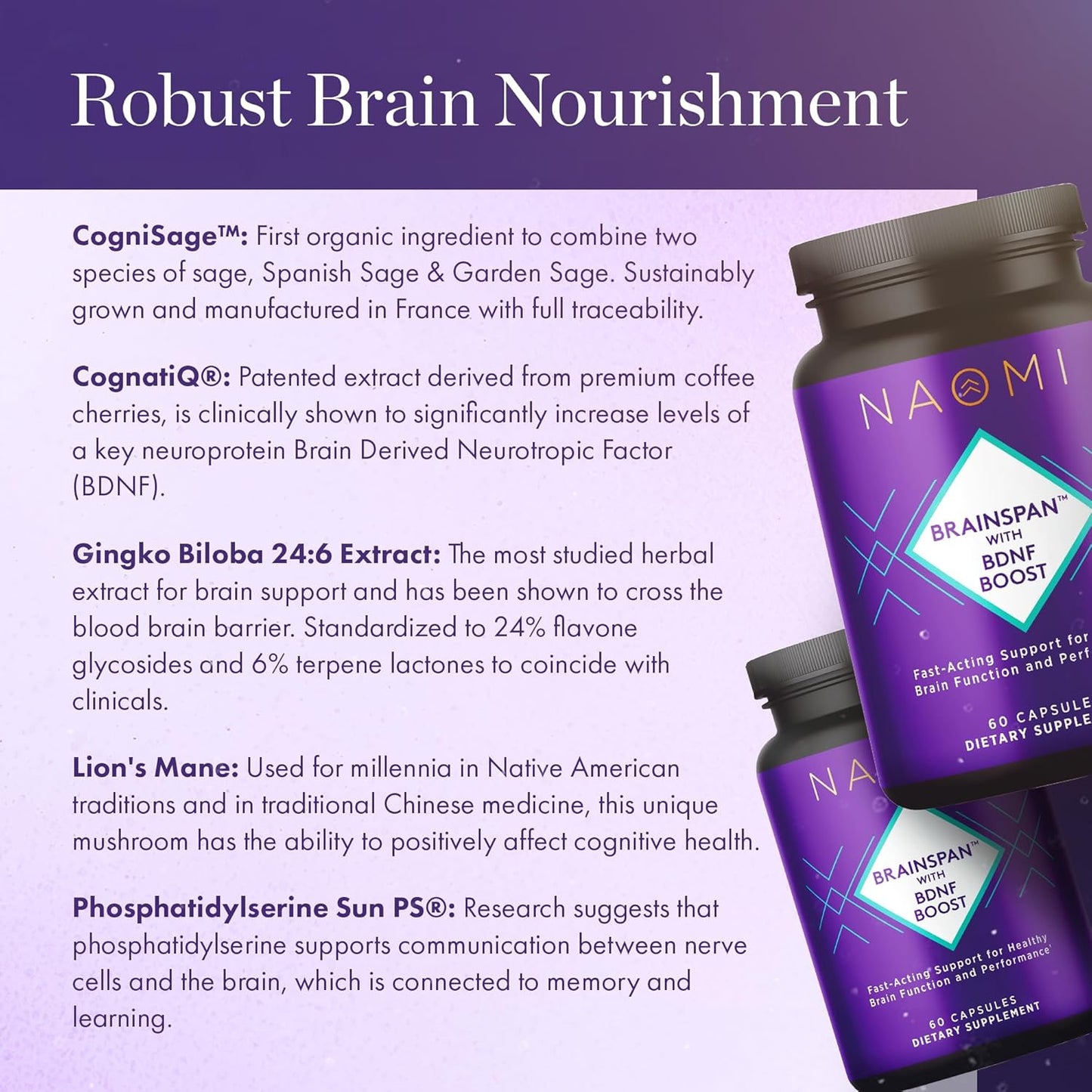 NAOMI Brainspan™ BDNF Boost Capsules for Brain Function & Performance - Lion's Mane, Gingko Biloba, Sage Extracts - 60ct