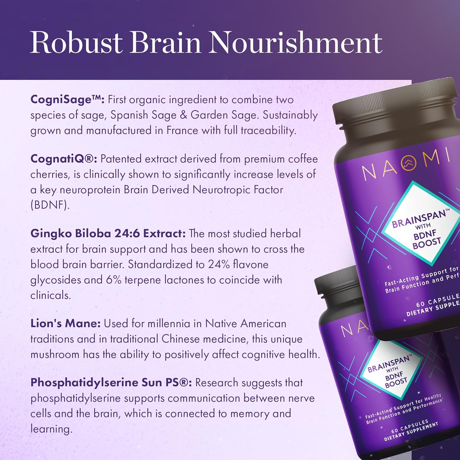 NAOMI Brainspan™ BDNF Boost Capsules for Brain Function & Performance - Lion's Mane, Gingko Biloba, Sage Extracts - 60ct