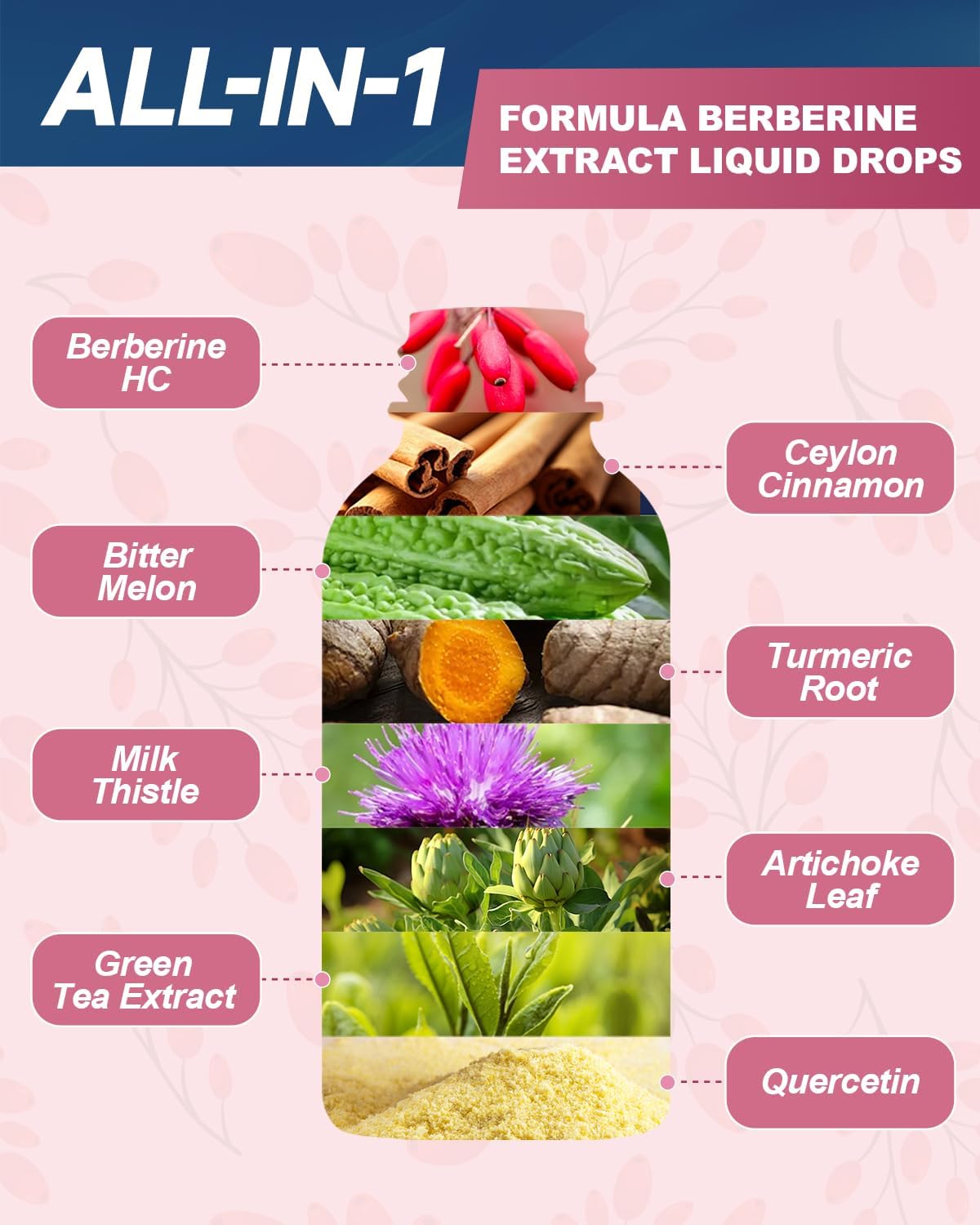 NaSeny Berberine Liquid Drops with Ceylon Cinnamon, Bitter Melon & Turmeric - Herbal Immune, Heart & Digestion Supplement