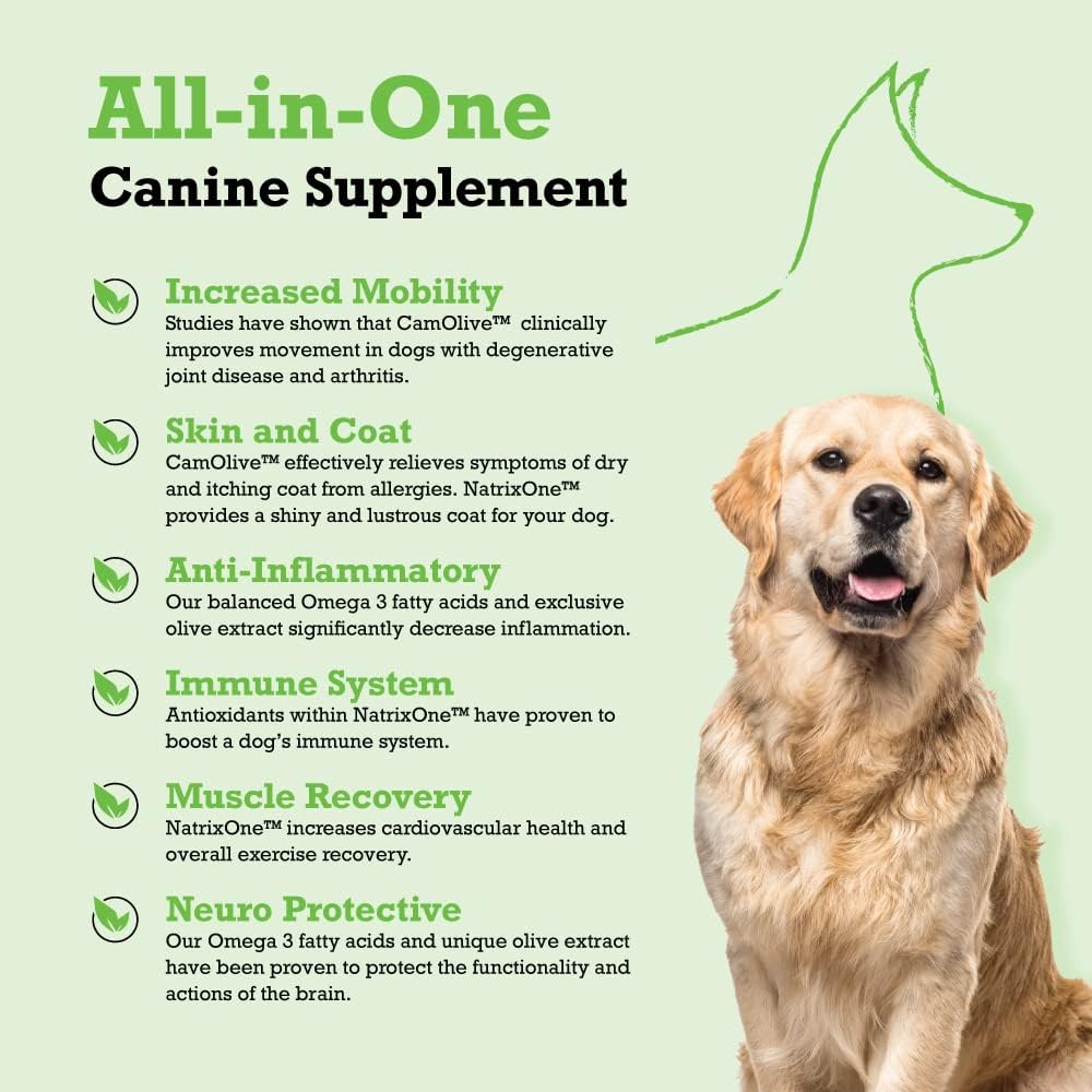 NatrixOne Omega 3 Skin and Coat Supplement for Dogs - 16 oz All-Natural Oil - Supports Heart, Joints, Anti-inflammatory - Camelina Oil