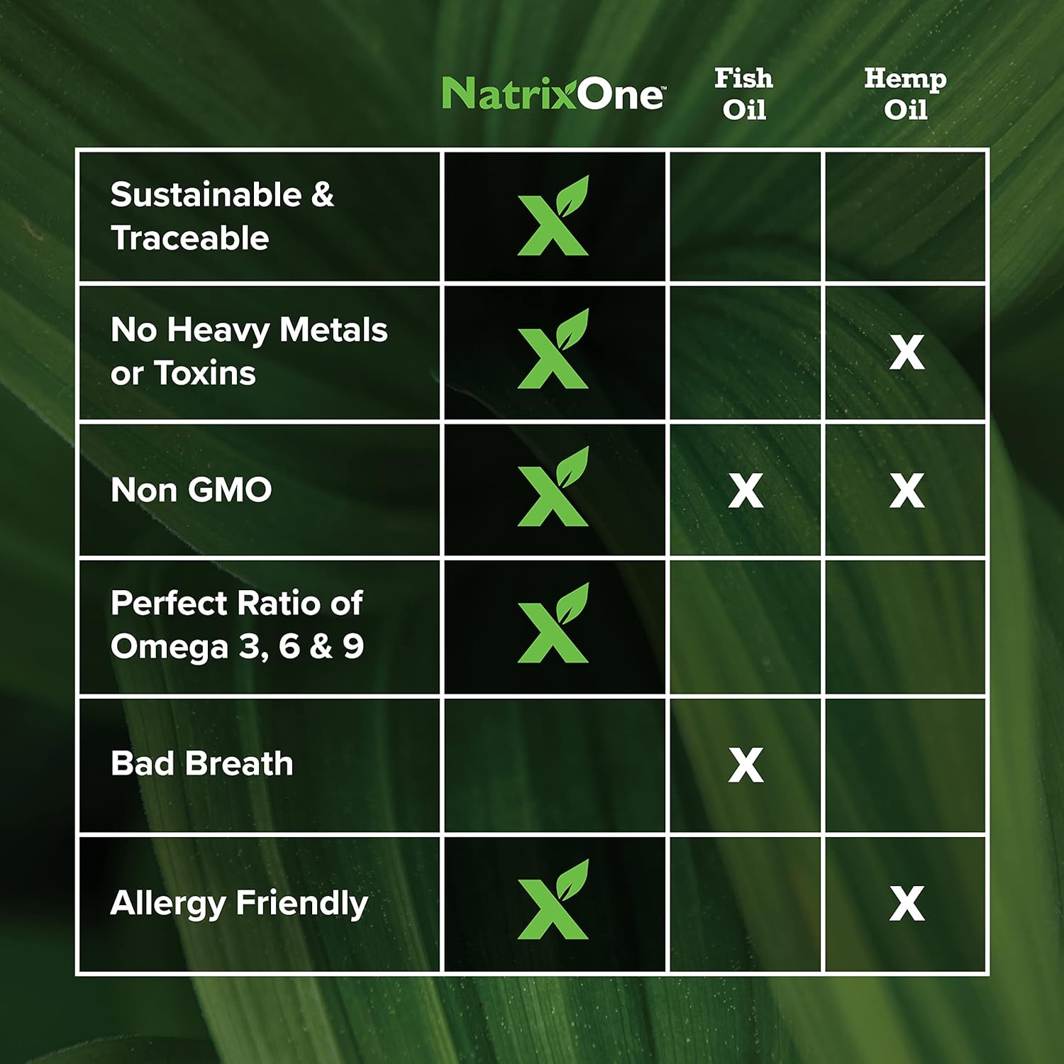 NatrixOne Omega 3 Skin and Coat Supplement for Dogs - 16 oz All-Natural Oil - Supports Heart, Joints, Anti-inflammatory - Camelina Oil