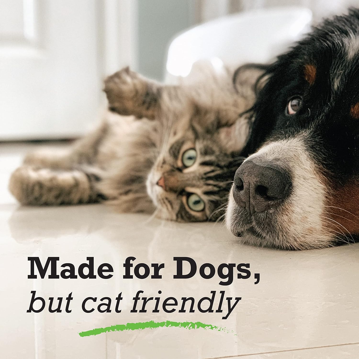 NatrixOne Omega 3 Skin and Coat Supplement for Dogs - 16 oz All-Natural Oil - Supports Heart, Joints, Anti-inflammatory - Camelina Oil