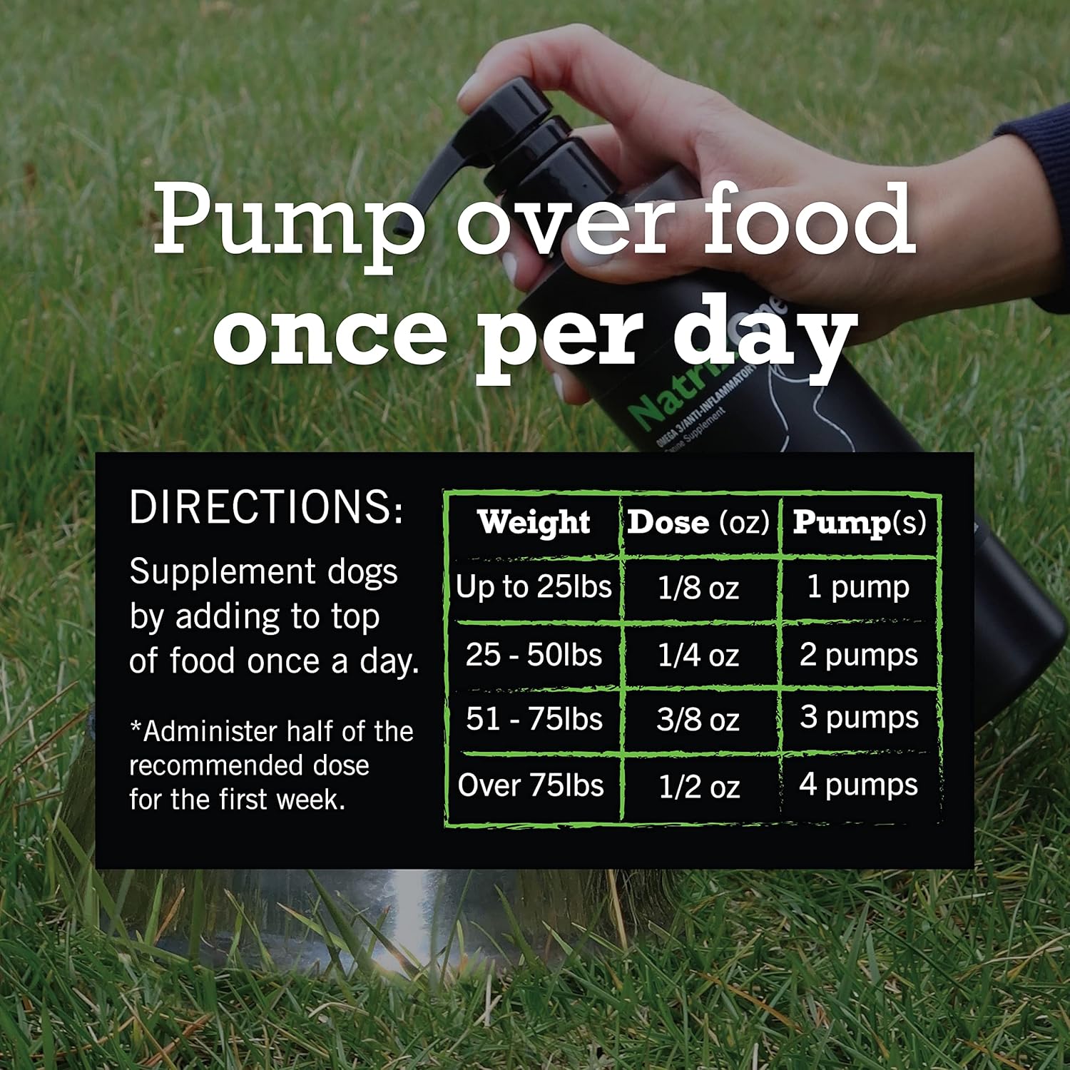 NatrixOne Omega 3 Skin and Coat Supplement for Dogs - 16 oz All-Natural Oil - Supports Heart, Joints, Anti-inflammatory - Camelina Oil