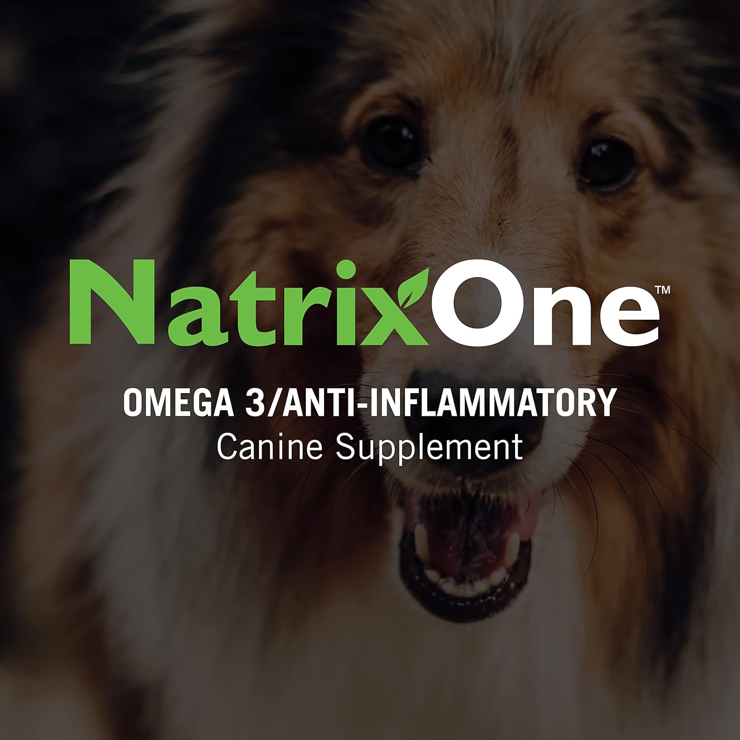 NatrixOne Omega 3 Skin and Coat Supplement for Dogs - 16 oz All-Natural Oil - Supports Heart, Joints, Anti-inflammatory - Camelina Oil