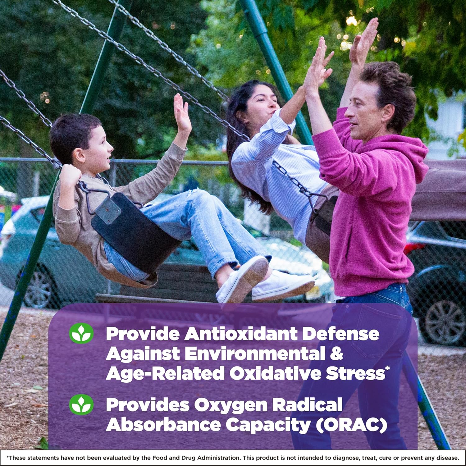 Natrol Acai Berry Dietary Supplement - Antioxidant Defense - 900mg Veggie Capsules (75 Count x 12 Packs)