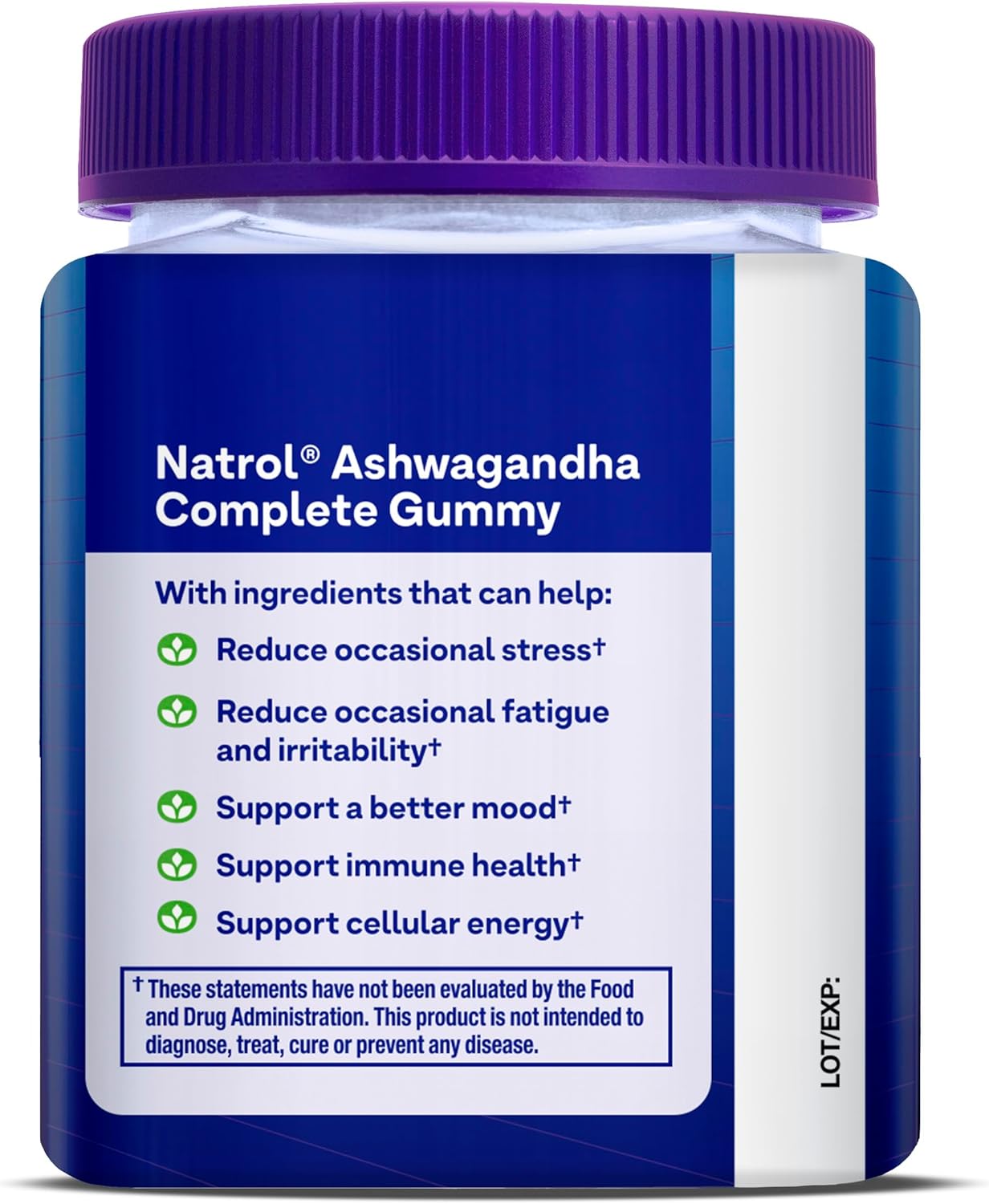 Natrol Ashwagandha Complete Gummy: Daily Stress Support, Mood Enhancement, Fatigue Reduction - 30 Gummies