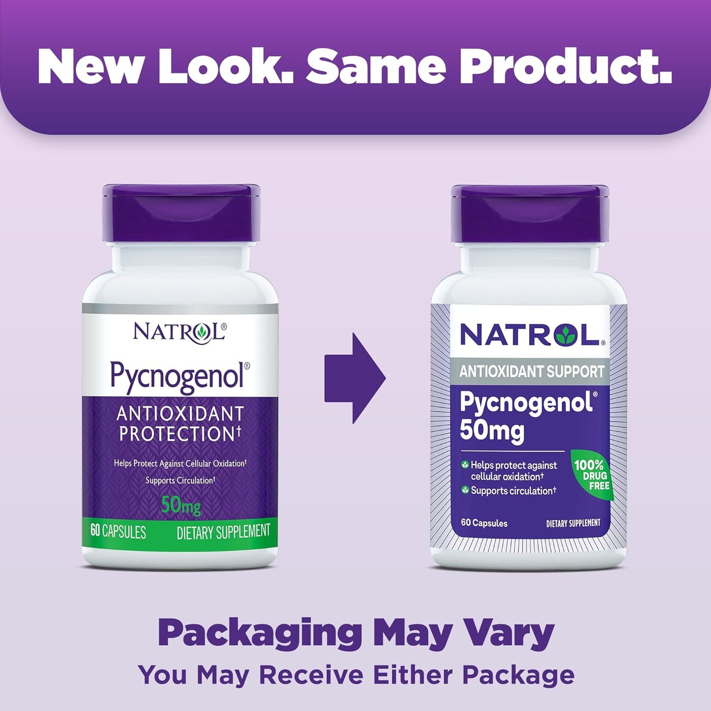 Natrol Pycnogenol Capsules - 50mg Antioxidant Protection from European Maritime Pine Bark Extract - 60 Count x 12 - Supports Circulation & Cellular Health