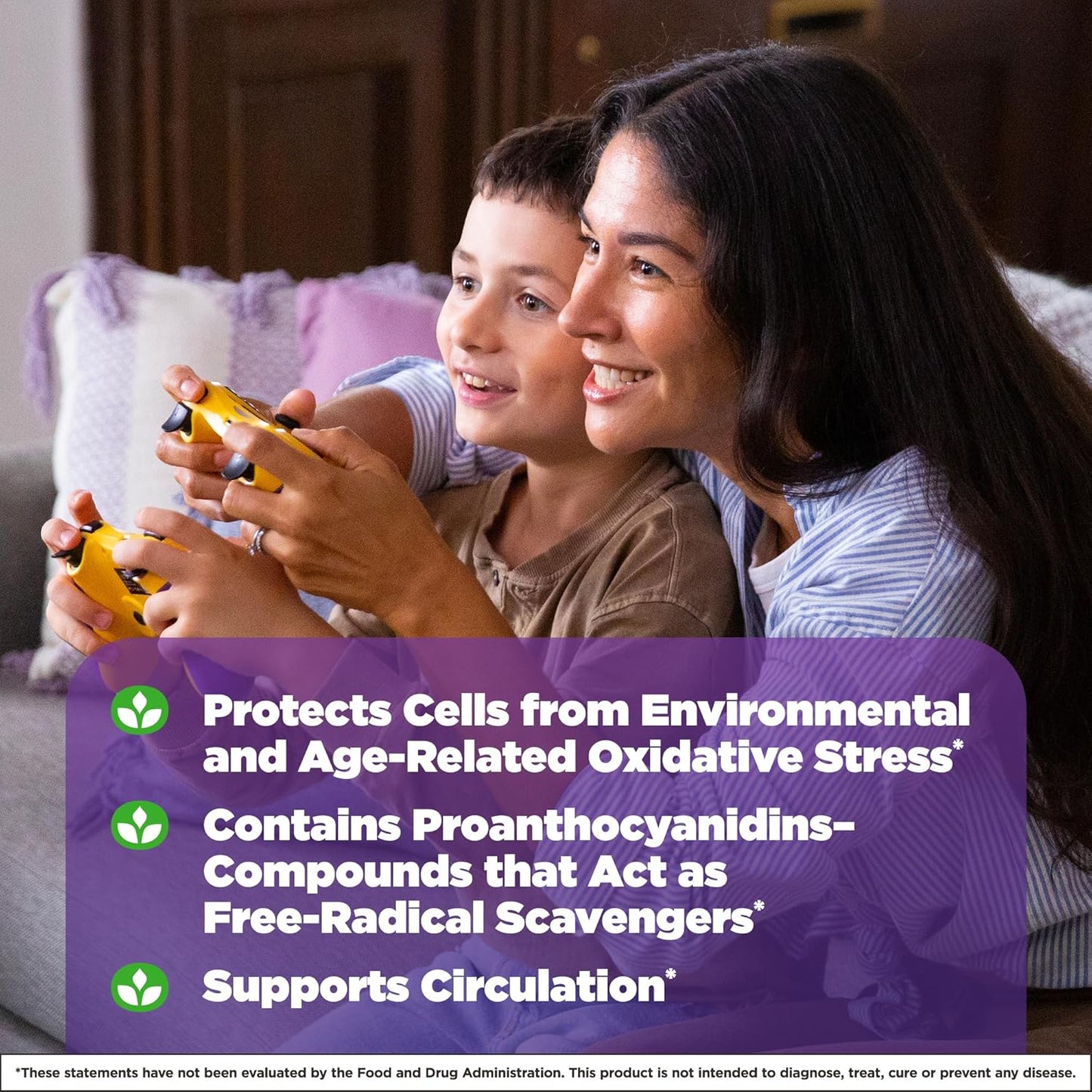 Natrol Pycnogenol Capsules - 50mg Antioxidant Protection from European Maritime Pine Bark Extract - 60 Count x 12 - Supports Circulation & Cellular Health