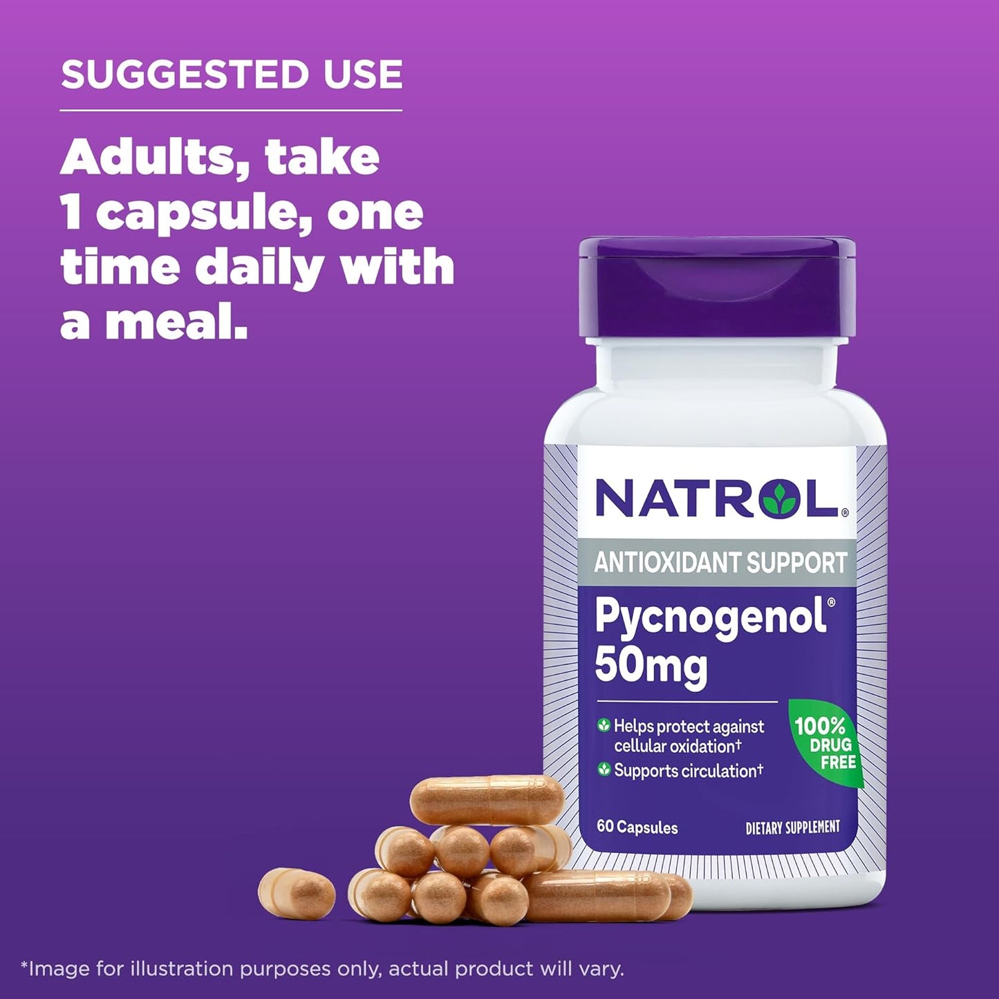 Natrol Pycnogenol Capsules - 50mg Antioxidant Protection from European Maritime Pine Bark Extract - 60 Count x 12 - Supports Circulation & Cellular Health