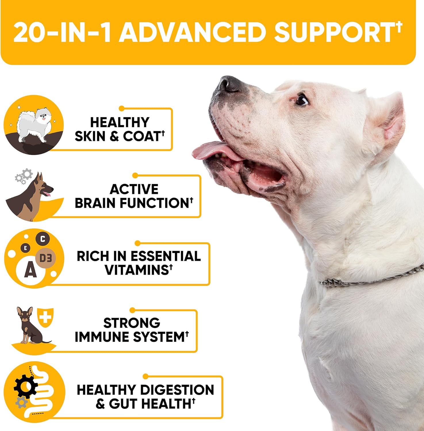 Natural 20-in-1 Dog Multivitamin Supplements for Immunity, Digestion, Joint & Heart Health - With Biotin, Msm, Cranberry, Glucosamine - 180 Chews