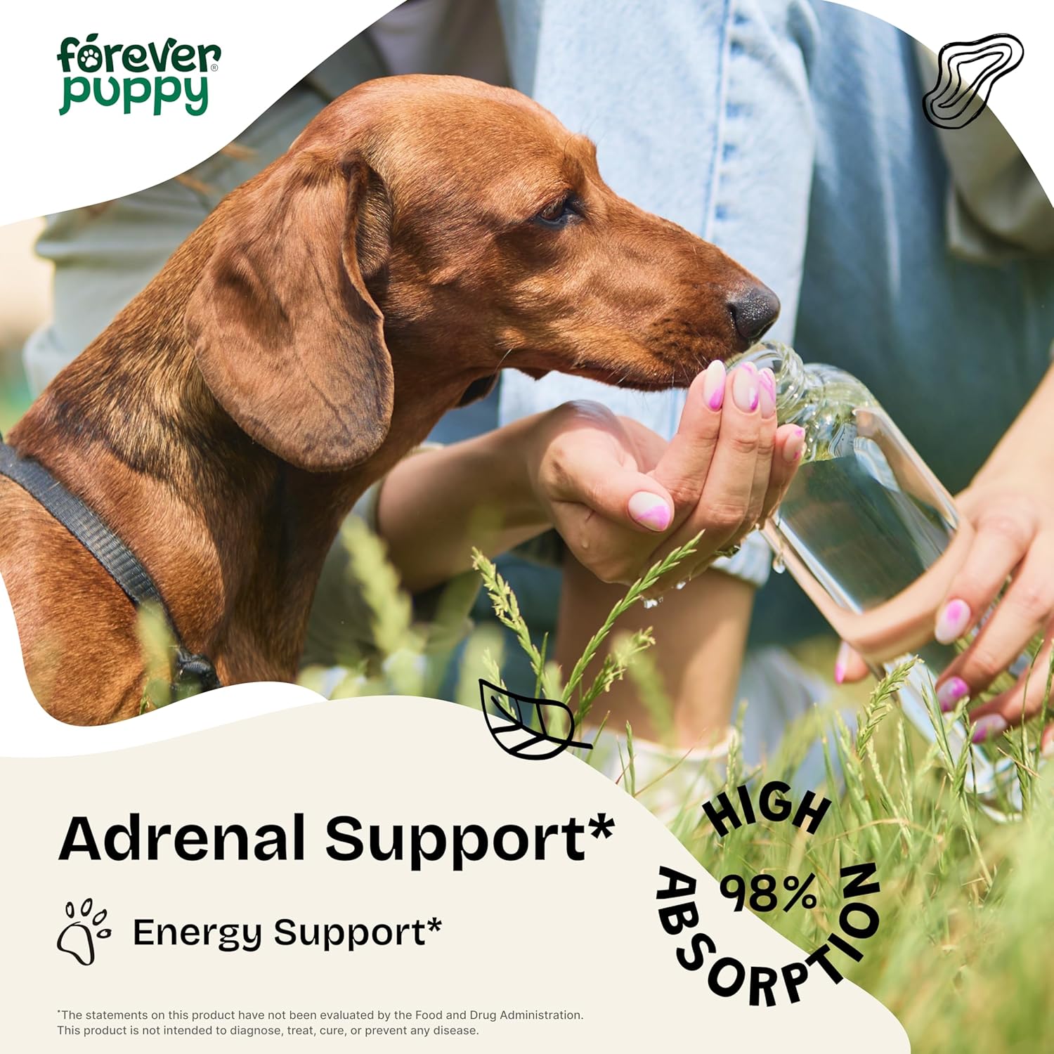 Natural Adrenal Support Drops for Dogs - Ashwagandha & Ginseng Root Extract for Energy - Calming Supplement for All Breeds - 4 fl oz