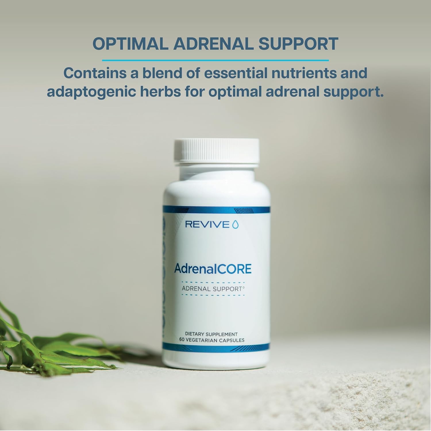 Natural Adrenal Support Supplements with Rhodiola Rosea & Ashwagandha - Promotes Energy & Mental Performance - Men & Women