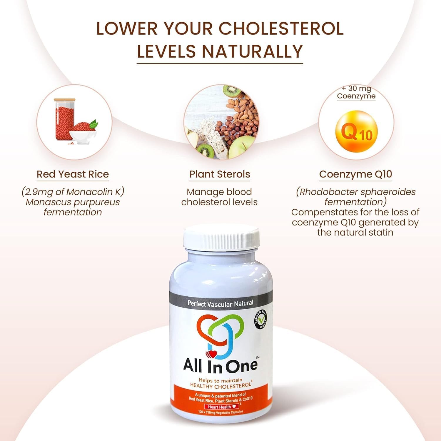 Natural All-in-One Heart Health Supplement - Supports Healthy Blood Circulation & Lowers Cholesterol - Red Yeast Rice, CoQ10, Plant Sterols - 120 Capsules