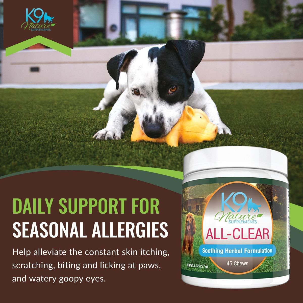 Natural Allergy Relief Chews for Dogs - Herbal Formula for Seasonal Allergies & Itching - Supports All Breeds - 45 Chews