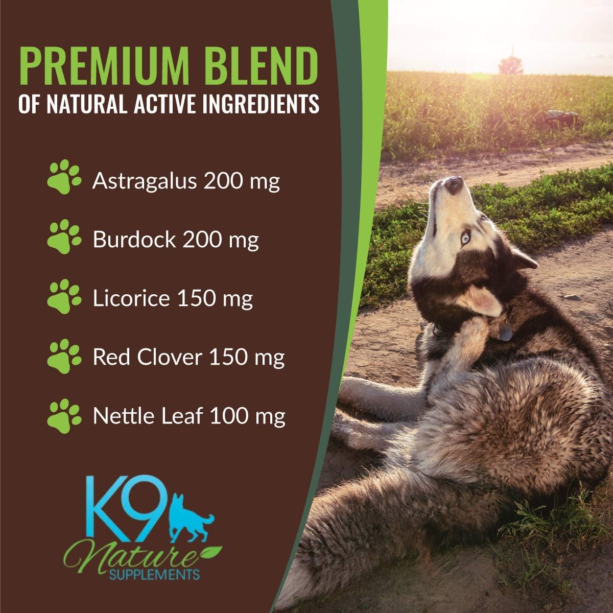 Natural Allergy Relief Chews for Dogs - Herbal Formula for Seasonal Allergies & Itching - Supports All Breeds - 45 Chews