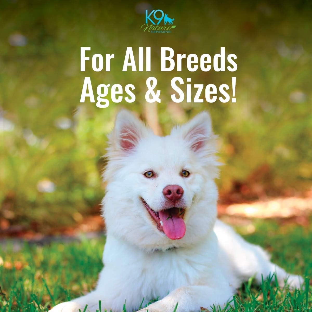 Natural Allergy Relief Chews for Dogs - Herbal Formula for Seasonal Allergies & Itching - Supports All Breeds - 45 Chews