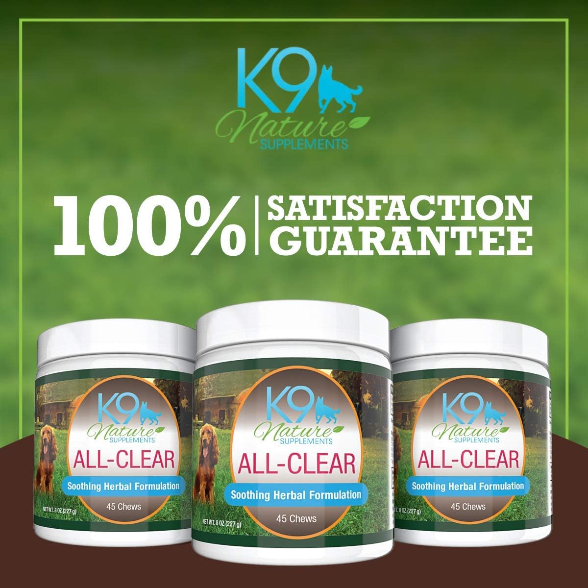 Natural Allergy Relief Chews for Dogs - Herbal Formula for Seasonal Allergies & Itching - Supports All Breeds - 45 Chews