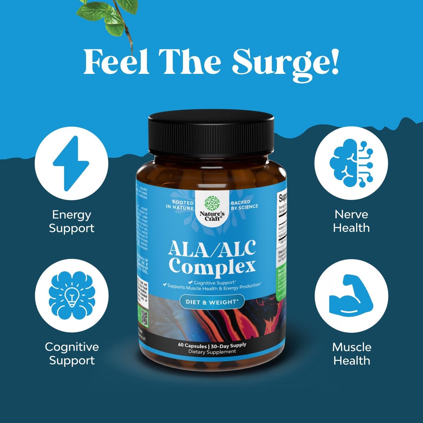 Natural Alpha Lipoic Acid and Acetyl L-Carnitine Supplement for Memory and Energy - ALA ALC Amino Acids - 60 Capsules