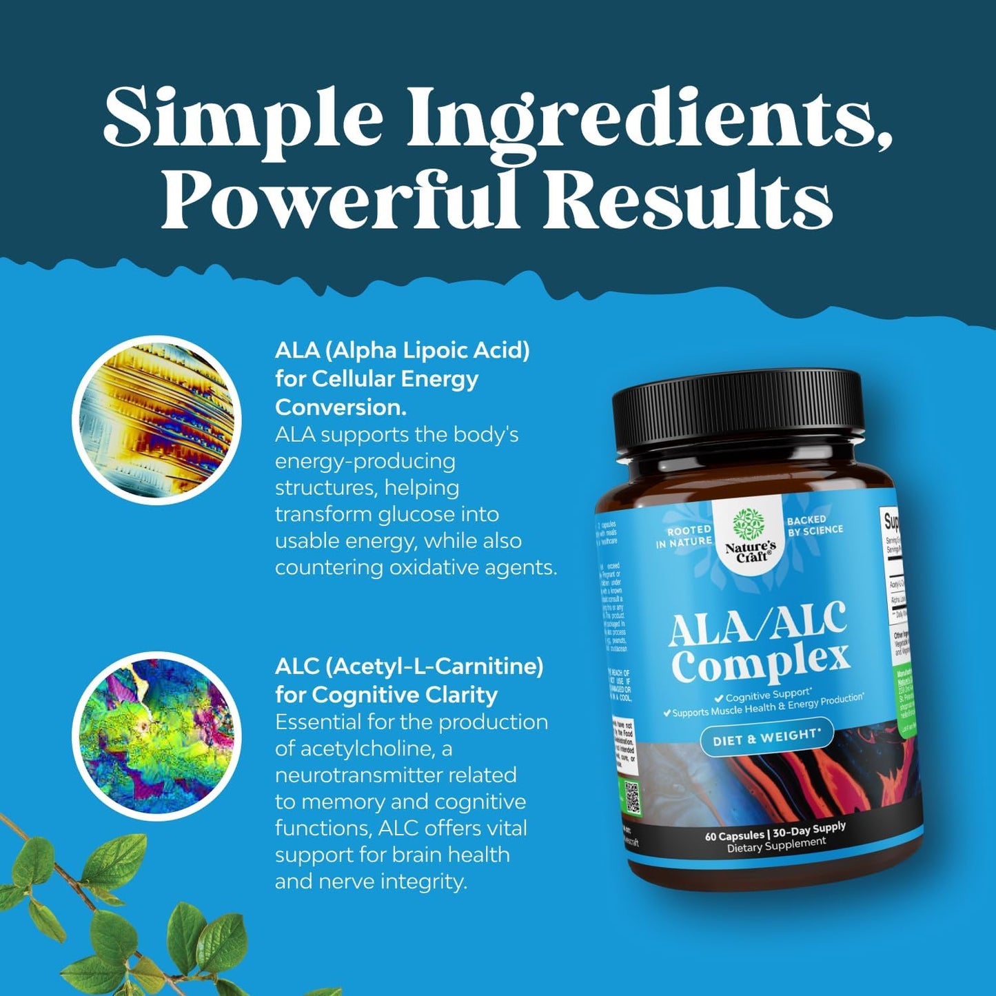 Natural Alpha Lipoic Acid and Acetyl L-Carnitine Supplement for Memory and Energy - ALA ALC Amino Acids - 60 Capsules