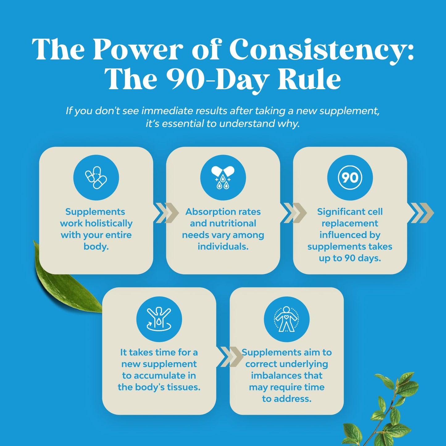 Natural Alpha Lipoic Acid and Acetyl L-Carnitine Supplement for Memory and Energy - ALA ALC Amino Acids - 60 Capsules