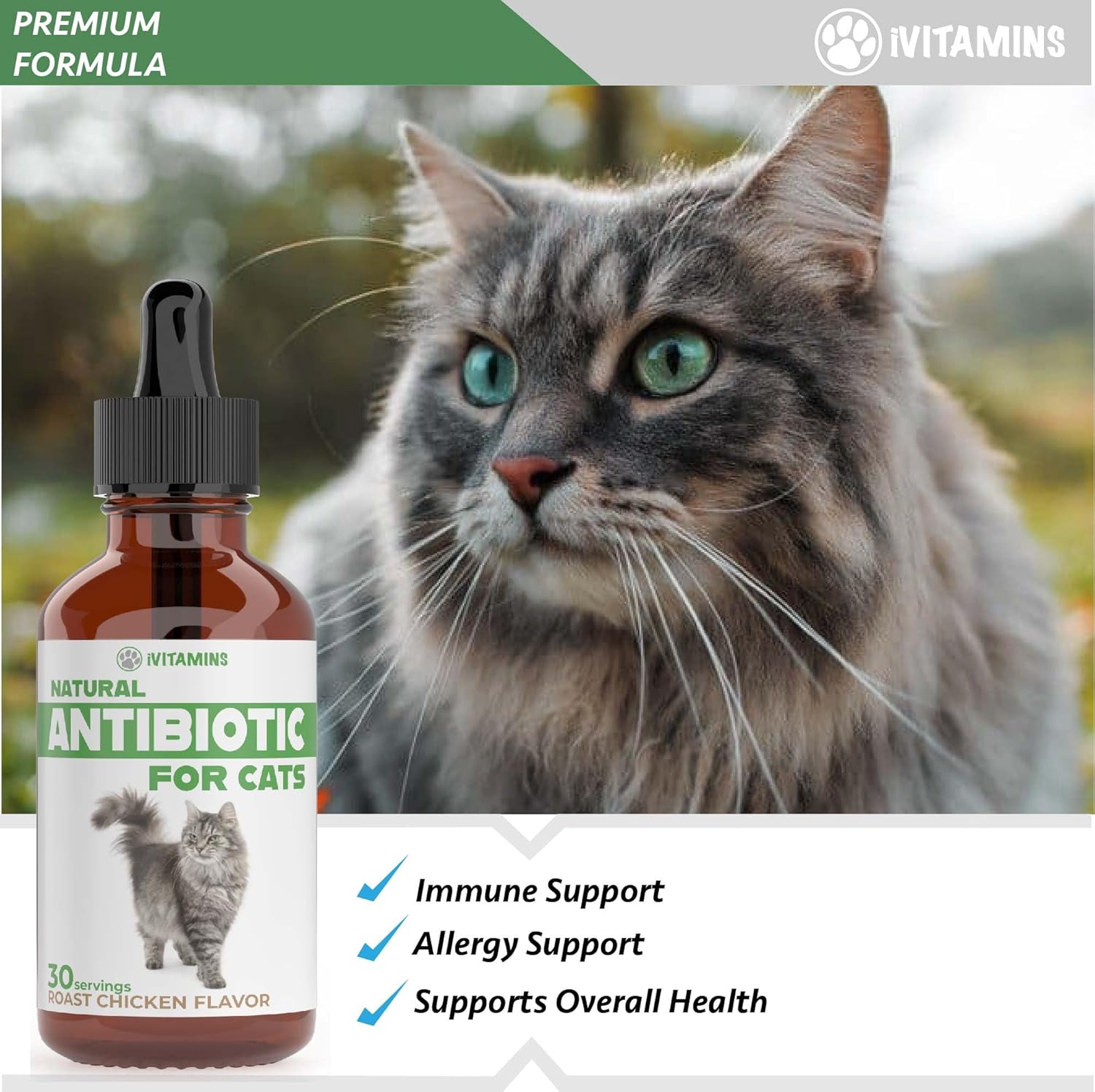 Natural Antibiotic Cat Supplements for Immune Support - 2 Pack, 60 Servings