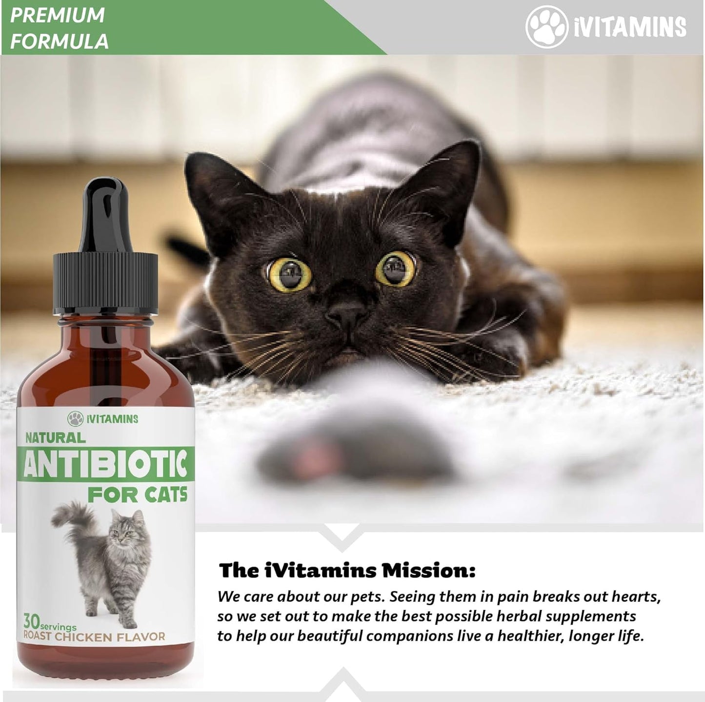 Natural Antibiotic Cat Supplements for Immune Support - 2 Pack, 60 Servings