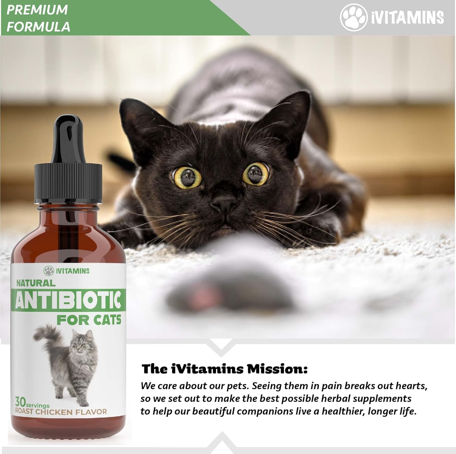 Natural Antibiotic Cat Supplements for Immune Support - 2 Pack, 60 Servings