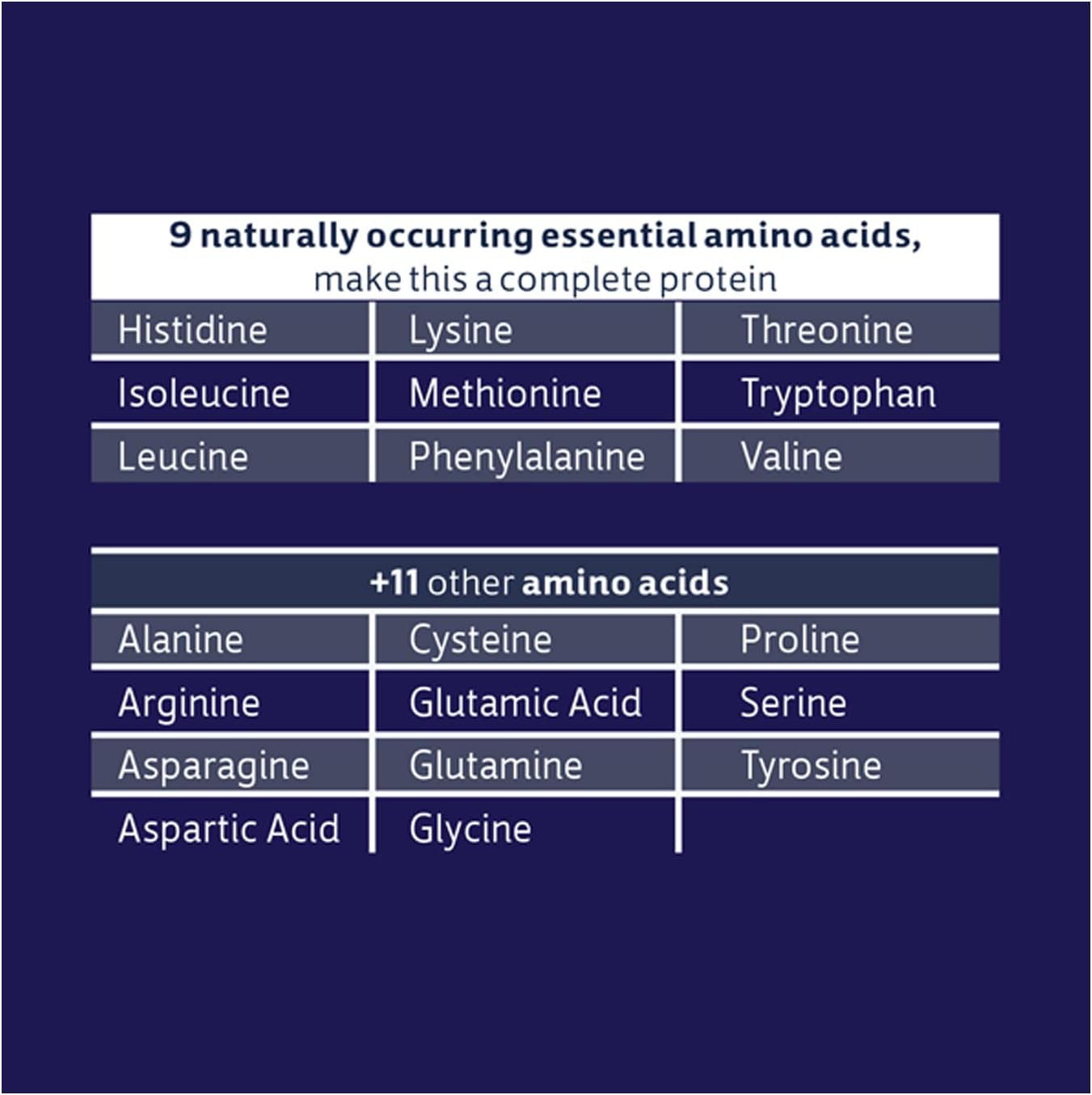 Natural Biochem Whey Protein Powder - 20g Protein for Muscle Support & Intense Workouts - 24.6 oz