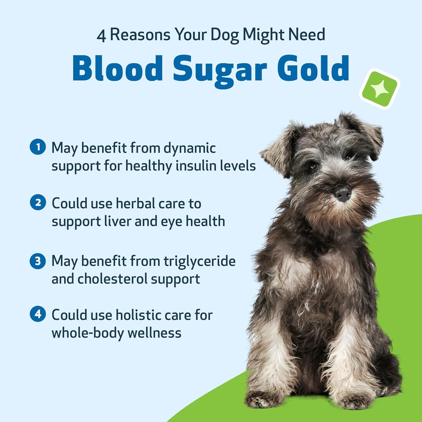 Natural Blood Sugar Support Supplement for Dogs & Cats - 4 oz Value Size - Promotes Healthy Blood Sugar Levels in Pets with Diabetes - Pet Wellbeing