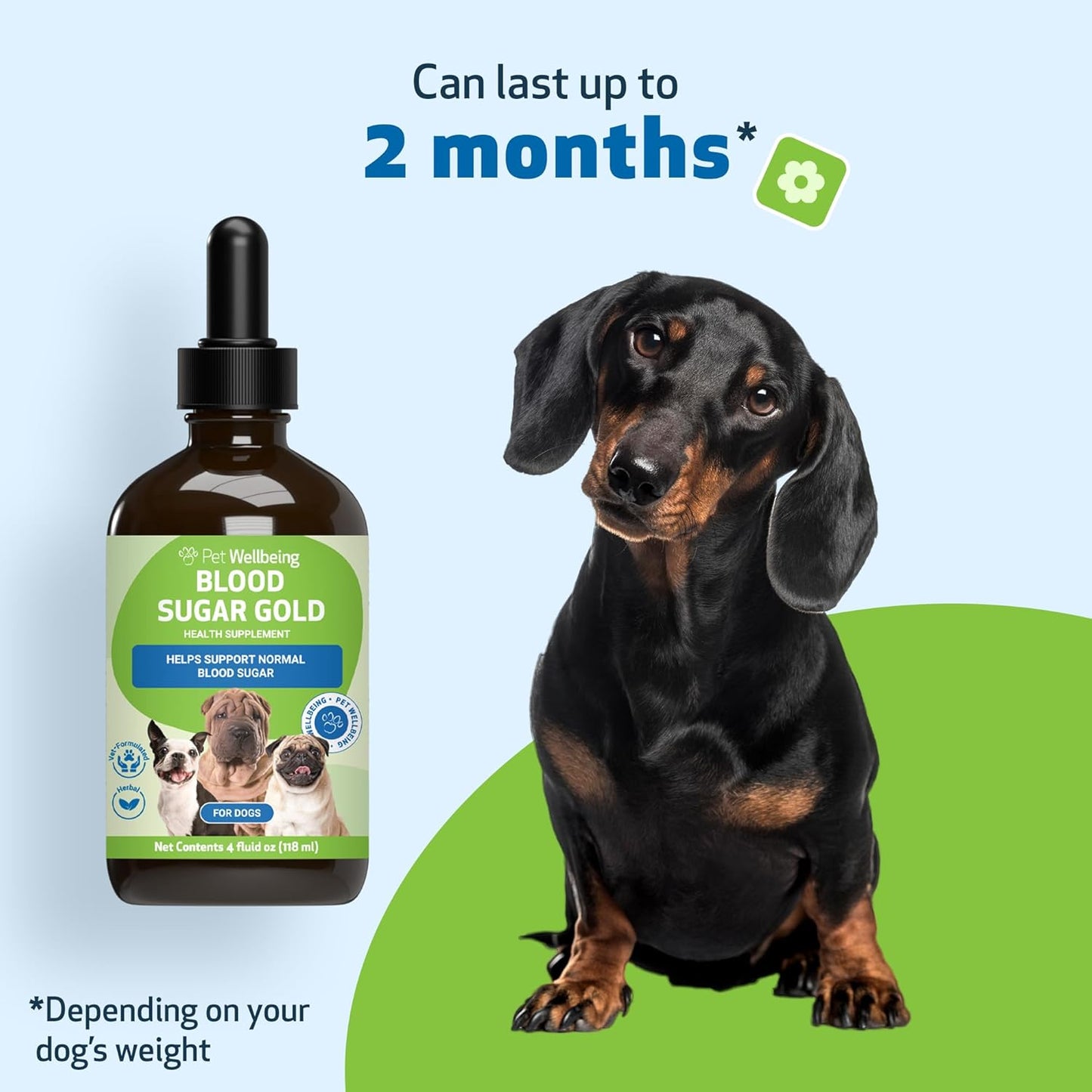 Natural Blood Sugar Support Supplement for Dogs & Cats - 4 oz Value Size - Promotes Healthy Blood Sugar Levels in Pets with Diabetes - Pet Wellbeing