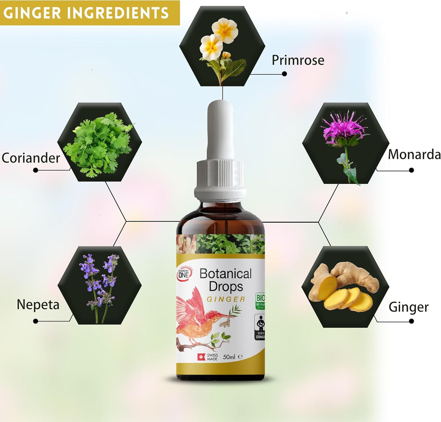 Natural Botanical Drops with Ginger and Digestive Enzymes - Organic Formula for Wellness, Immune Support, Inflammation Relief, and Blood Circulation - 50ml