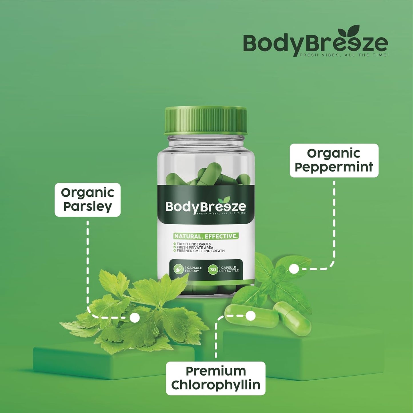 Natural Chlorophyll Supplement for Body Odor, Gut Health, and Fresh Breath - 90 Vegan Capsules for Detox Support and Skin Health - Internal Deodorant for Men and Women