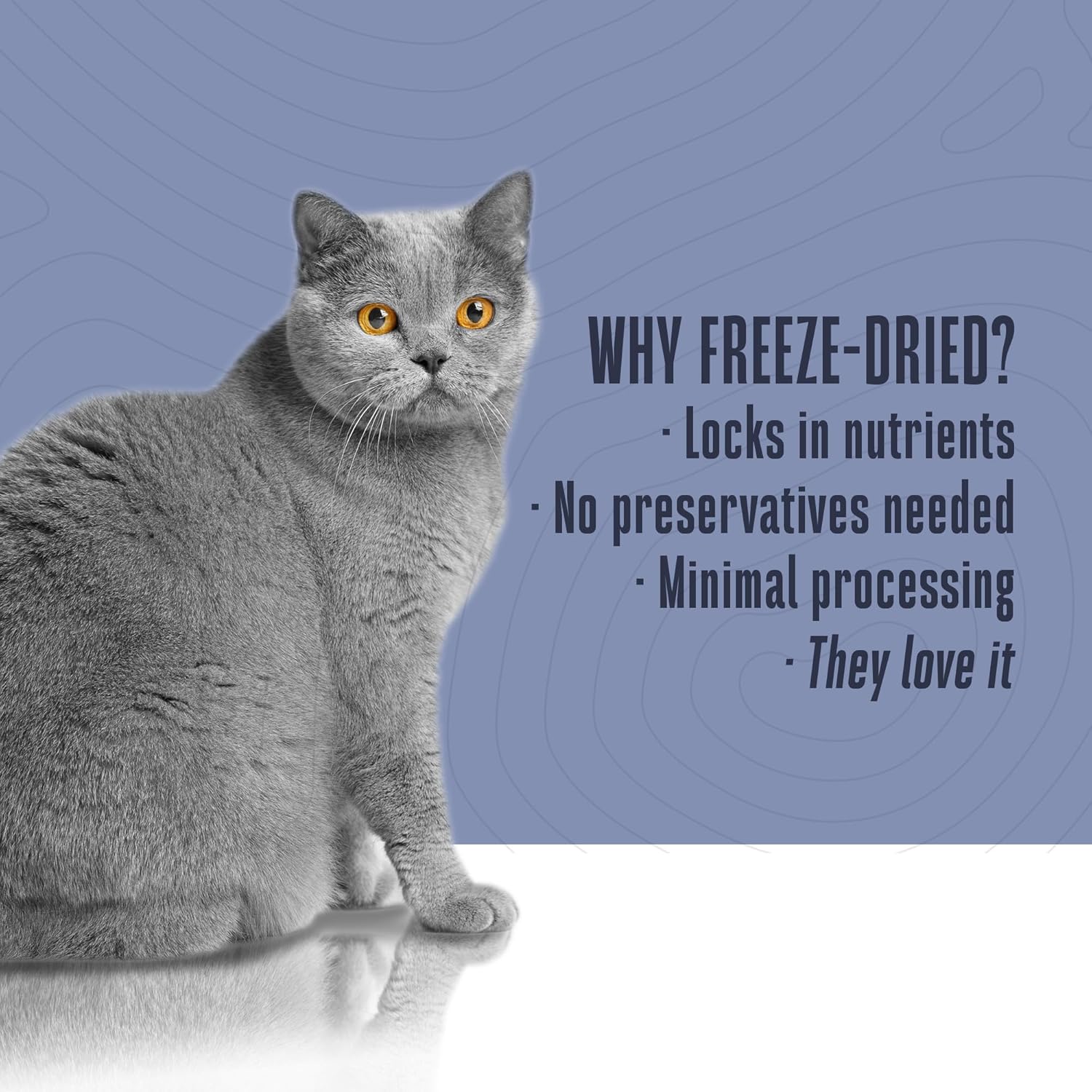 Natural Cranberry Cat Urinary Supplement - Feline UTI Prevention & Treatment with Probiotics - 30-Day Supply