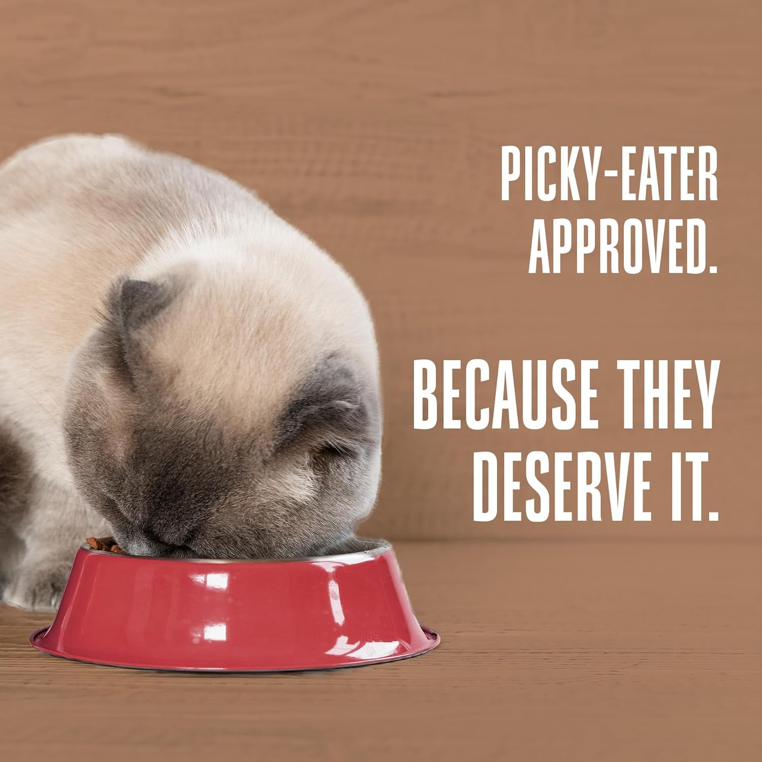 Natural Cranberry Cat Urinary Supplement - Feline UTI Prevention & Treatment with Probiotics - 30-Day Supply