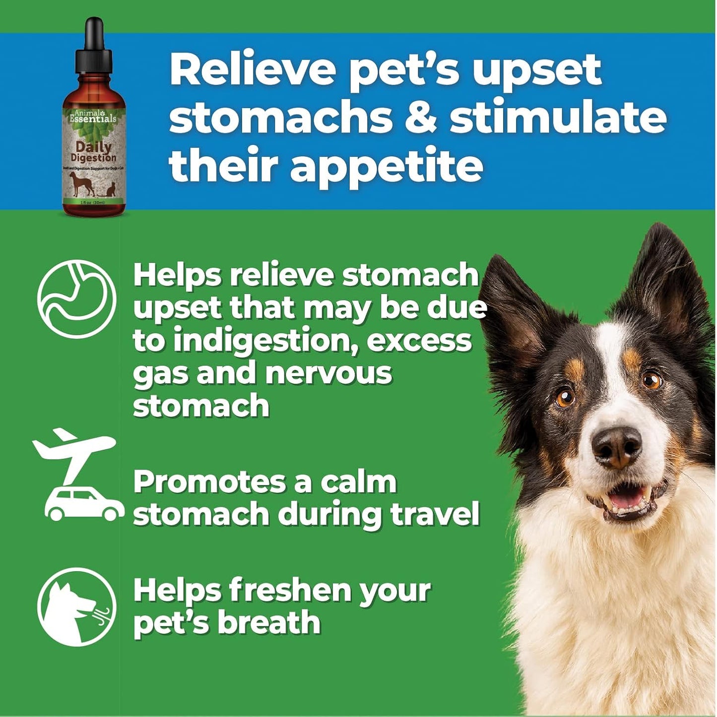 Natural Digestive Support Supplement for Dogs & Cats - Fresh Breath, Ginger Root & Fennel Seed Extract - 2 Fl Oz Liquid Formula