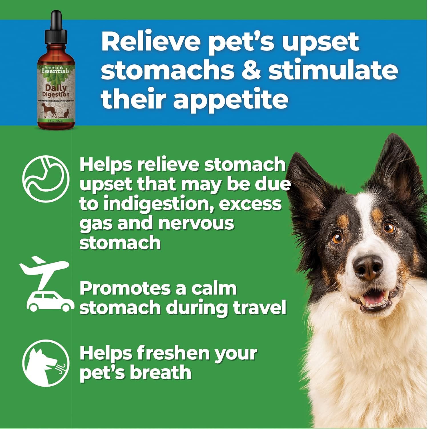 Natural Digestive Support Supplement for Dogs & Cats - Fresh Breath, Ginger Root & Fennel Seed Extract - 2 Fl Oz Liquid Formula