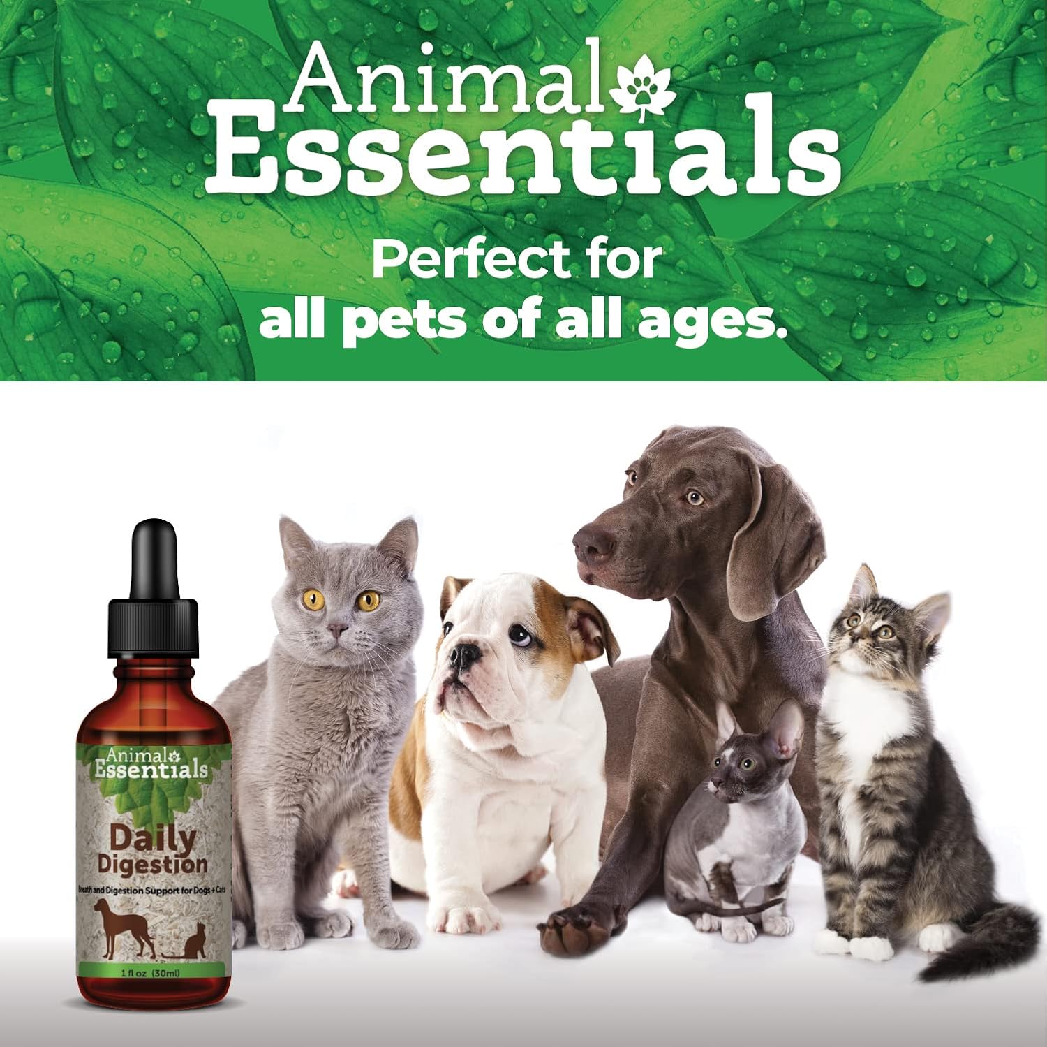 Natural Digestive Support Supplement for Dogs & Cats - Fresh Breath, Ginger Root & Fennel Seed Extract - 2 Fl Oz Liquid Formula