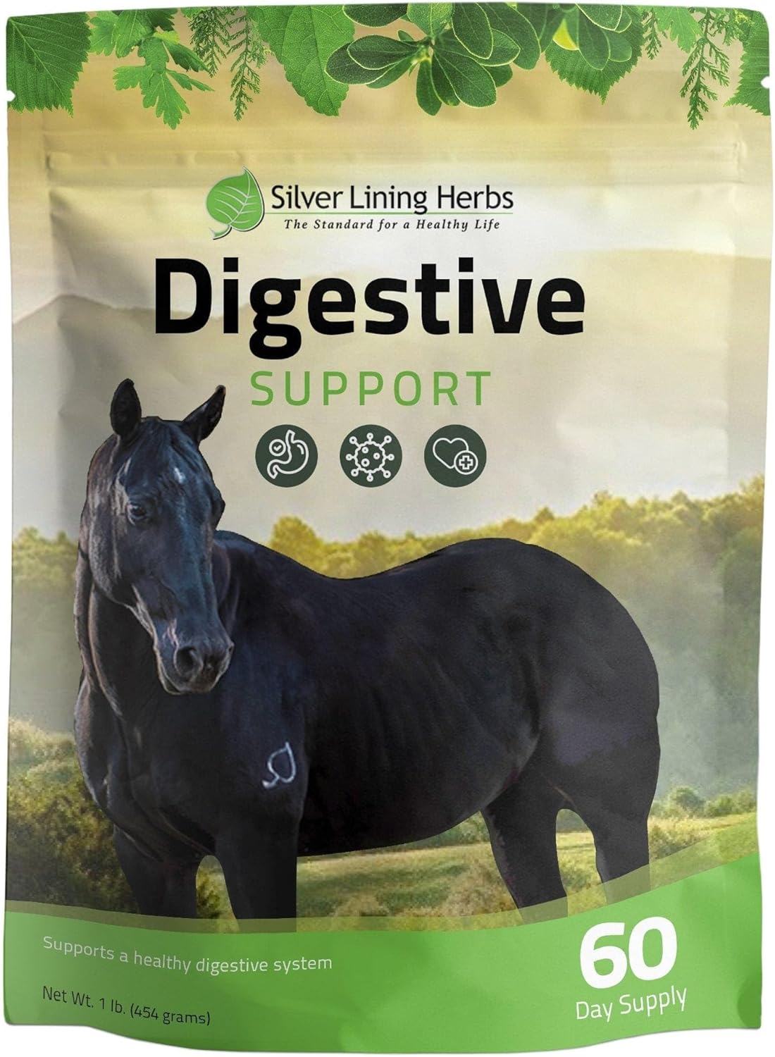 Natural Digestive Support Supplement for Horses - Silver Lining Herbs 30 - Promotes Healthy Equine Digestion - 1 lb Bag
