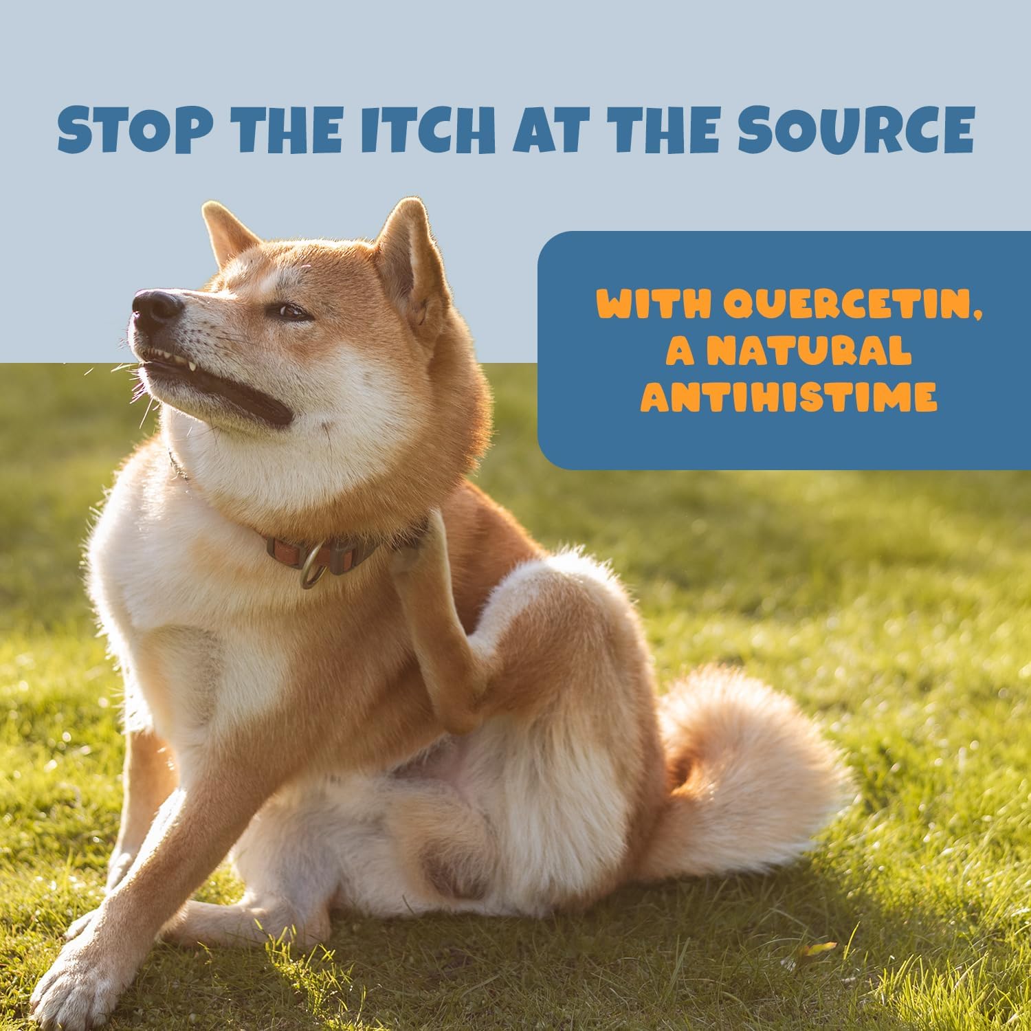 Natural Dog Allergy Relief Chews with Quercetin and Omega 3 - Antihistamine for Itching, Paw Licking, Allergies - Supports Skin Health and Immune System